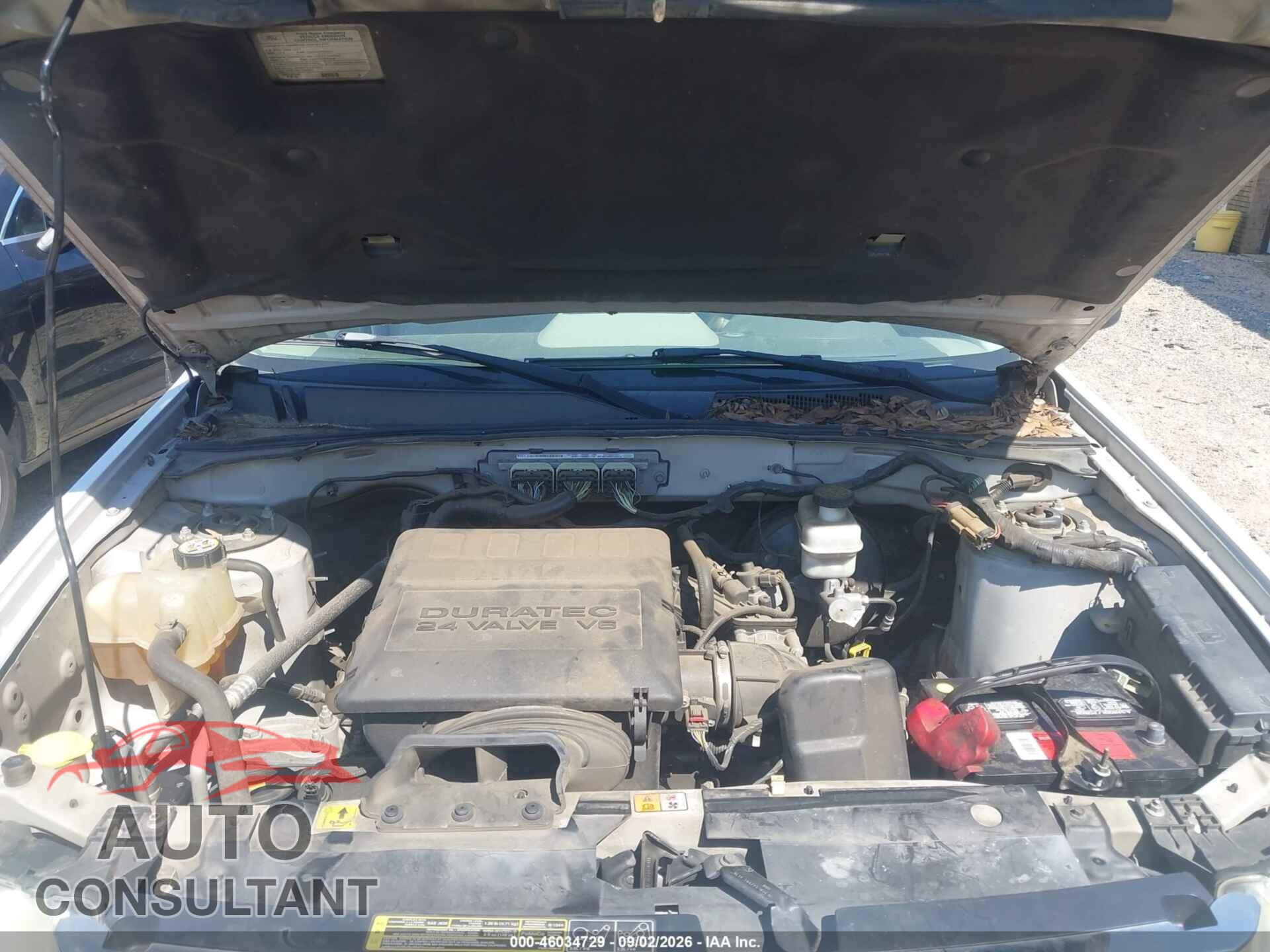 FORD ESCAPE 2010 - 1FMCU0DG5AKC68942