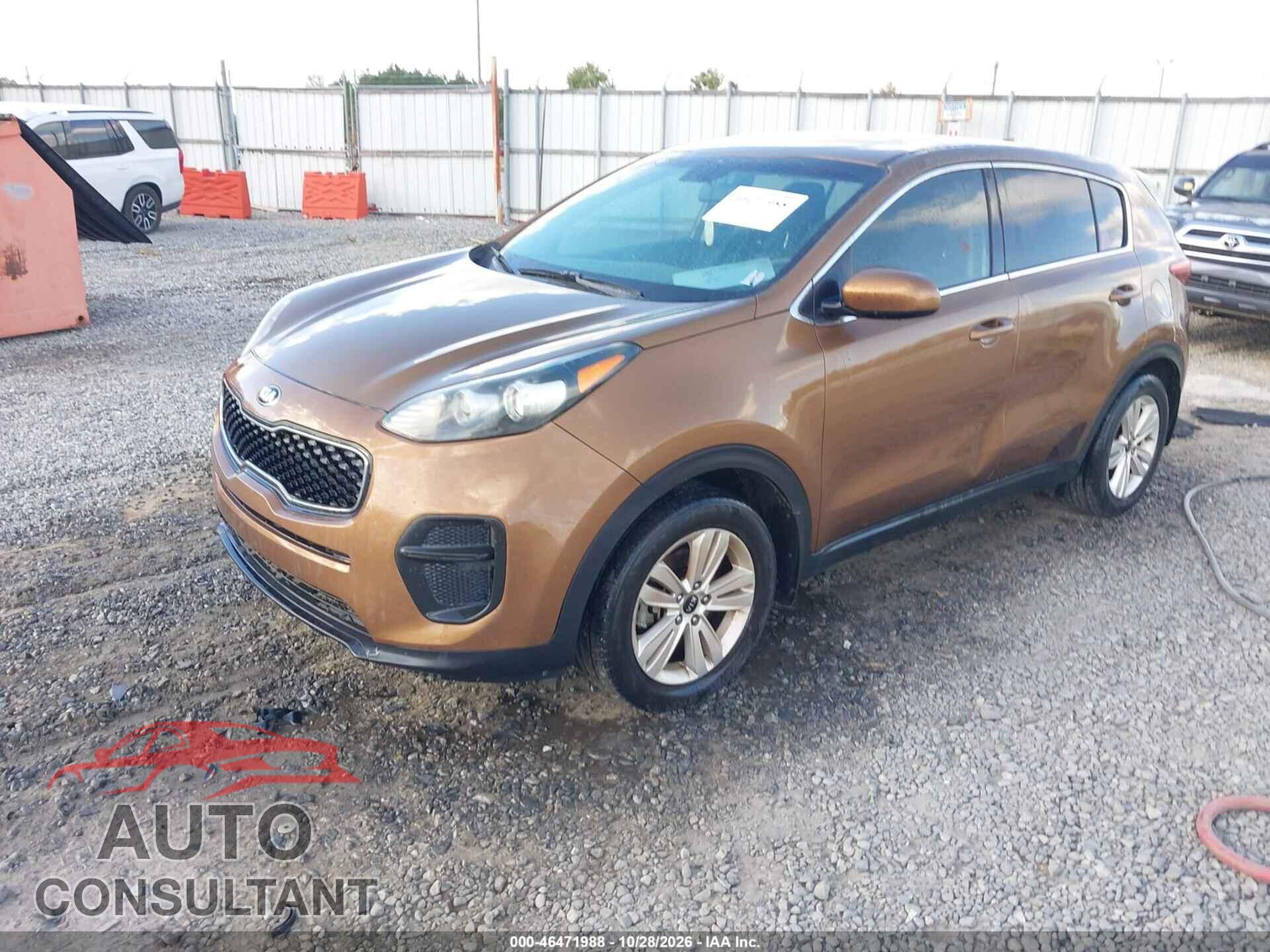 KIA SPORTAGE 2017 - KNDPM3AC4H7295569