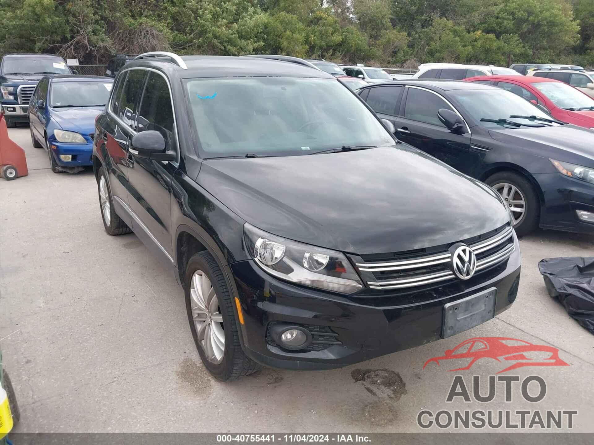 VOLKSWAGEN TIGUAN 2013 - WVGAV3AX4DW587112