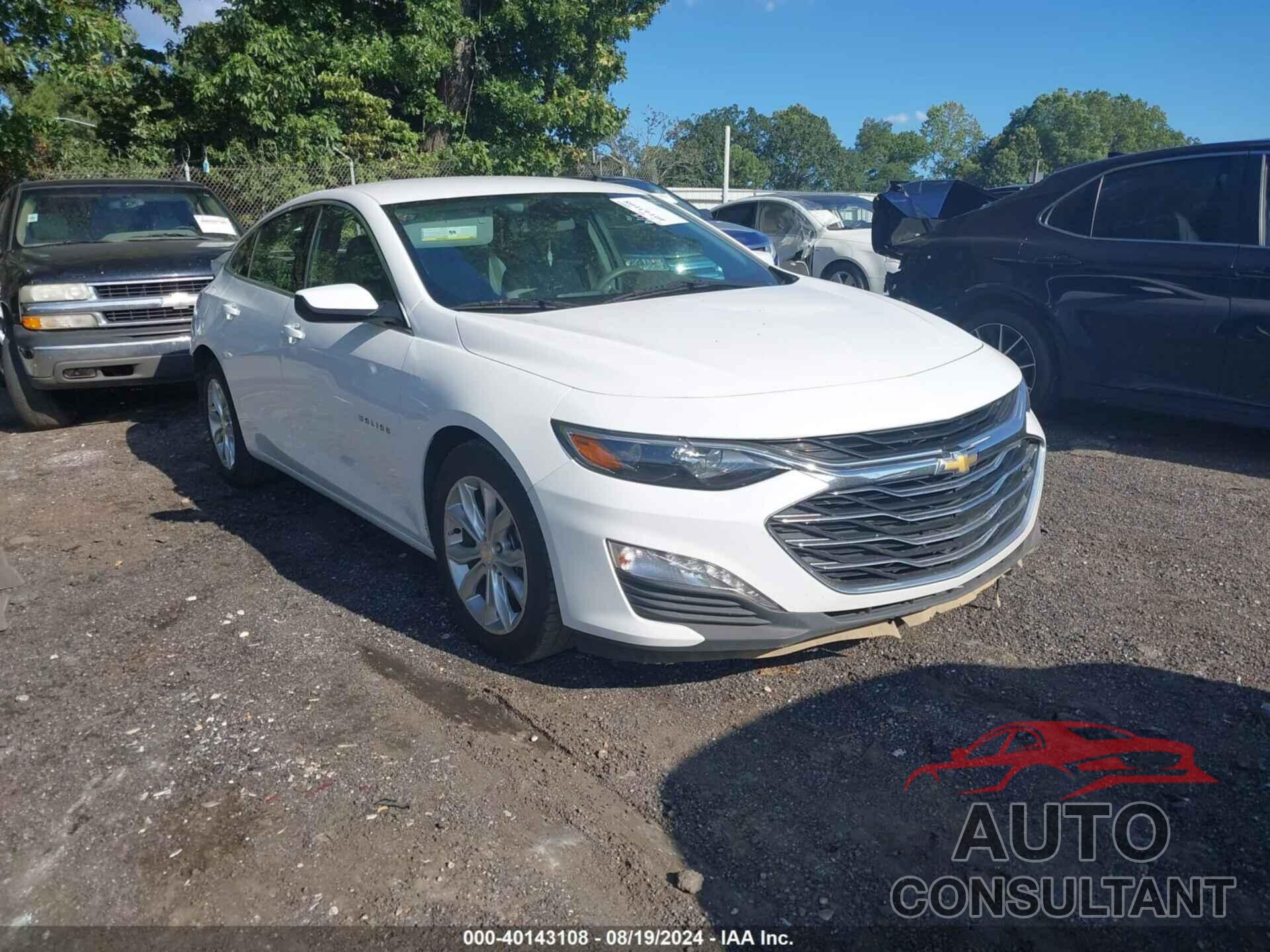 CHEVROLET MALIBU 2019 - 1G1ZD5ST1KF196992