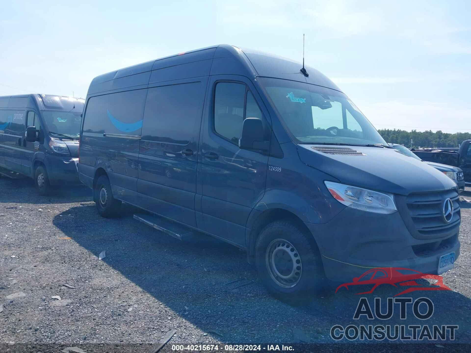 MERCEDES-BENZ SPRINTER 2500 2019 - WD4PF1CD8KT012051