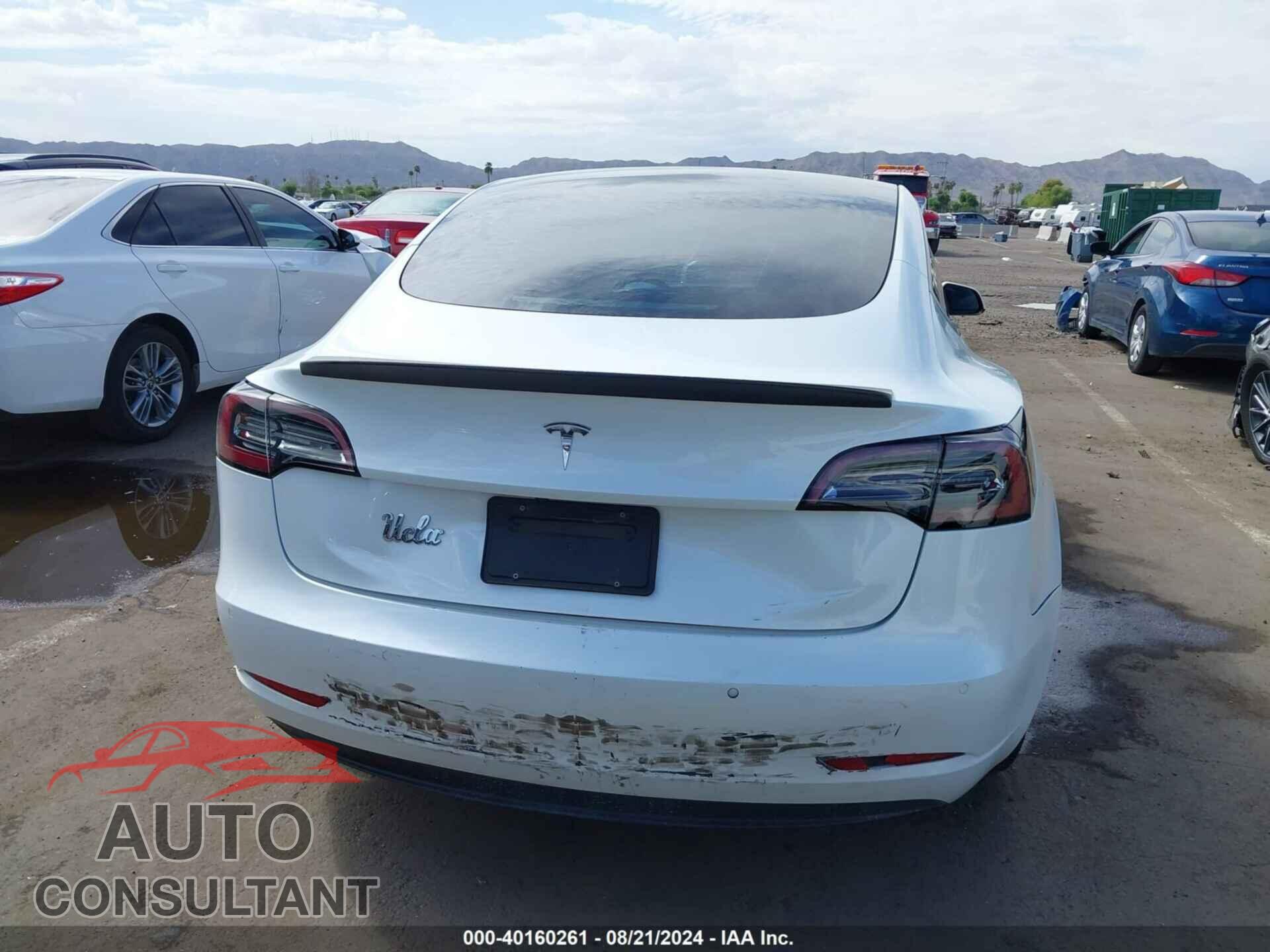 TESLA MODEL 3 2021 - 5YJ3E1EA9MF076538