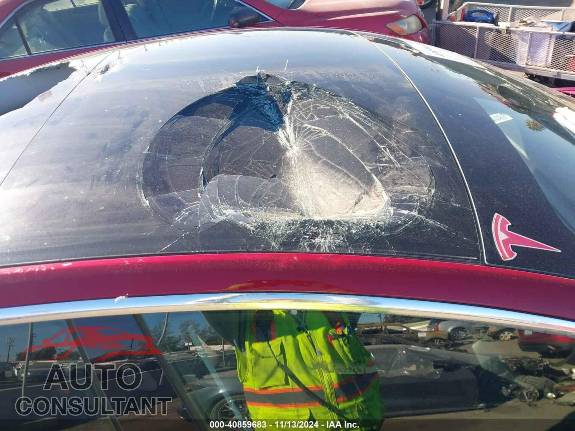 TESLA MODEL 3 2019 - 5YJ3E1EA6KF464033