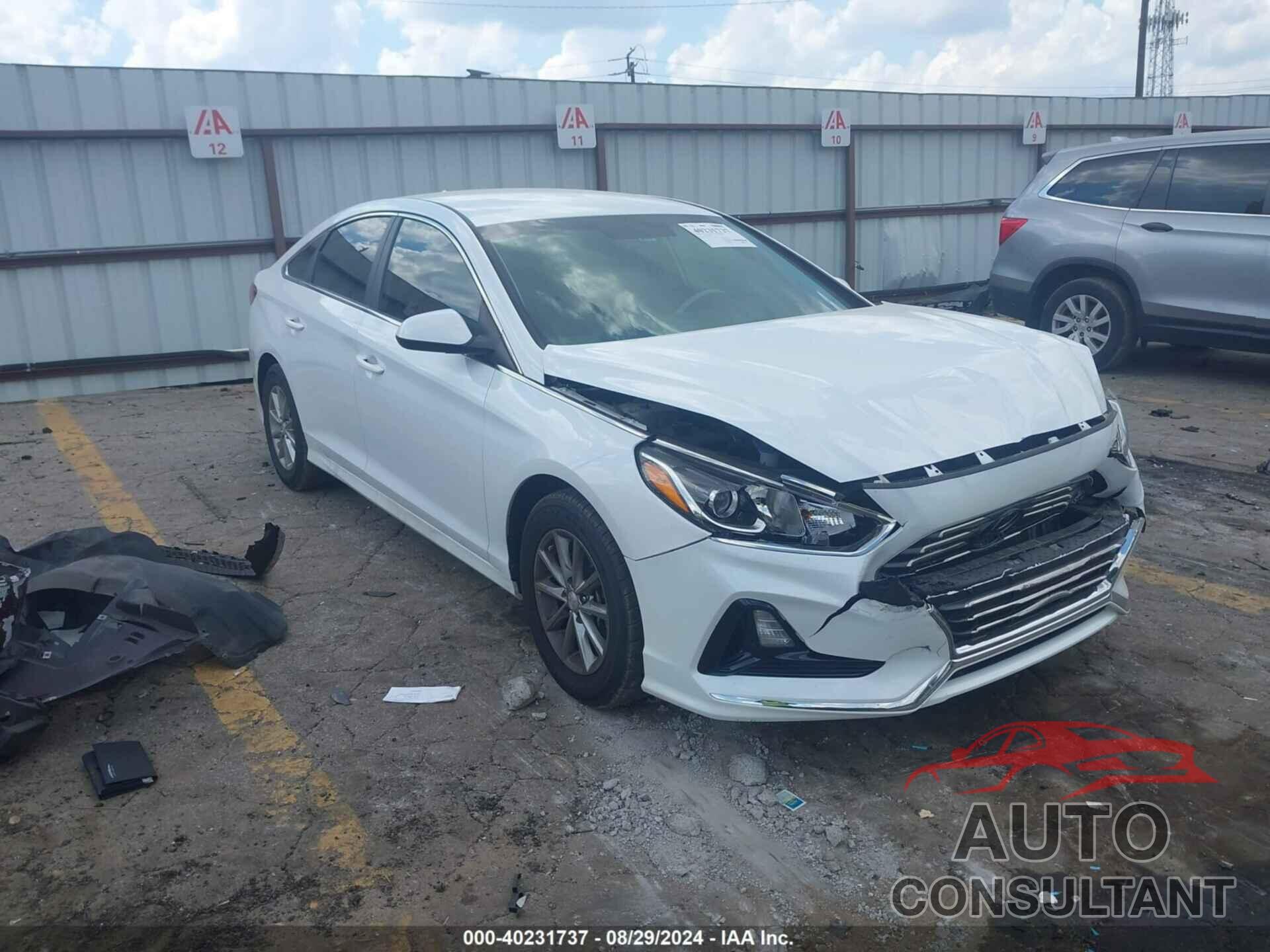 HYUNDAI SONATA 2019 - 5NPE24AF2KH750130