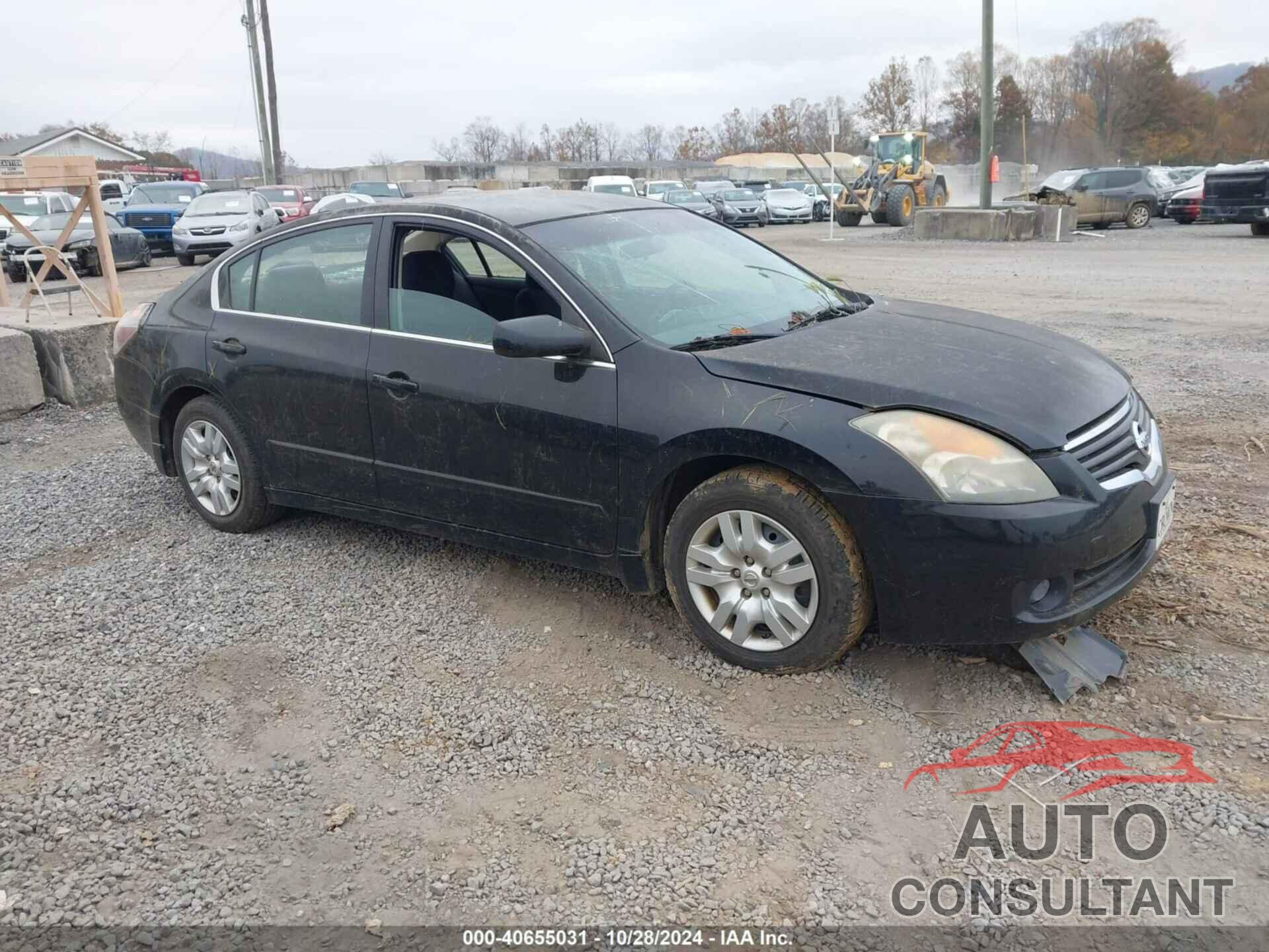 NISSAN ALTIMA 2009 - 1N4AL21E39N513556