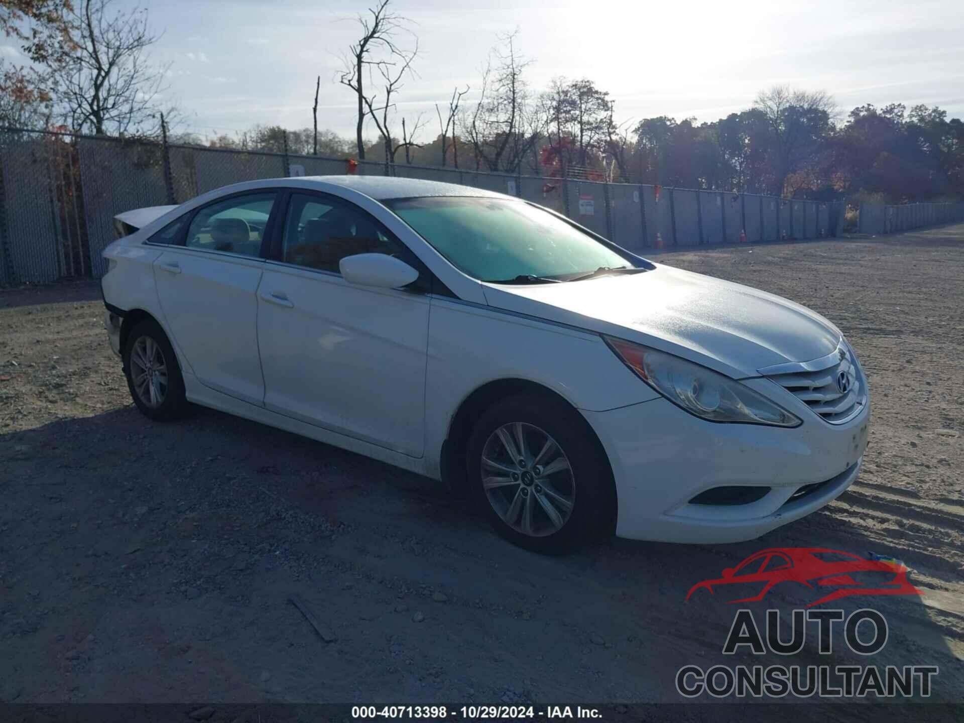 HYUNDAI SONATA 2011 - 5NPEB4AC1BH170745