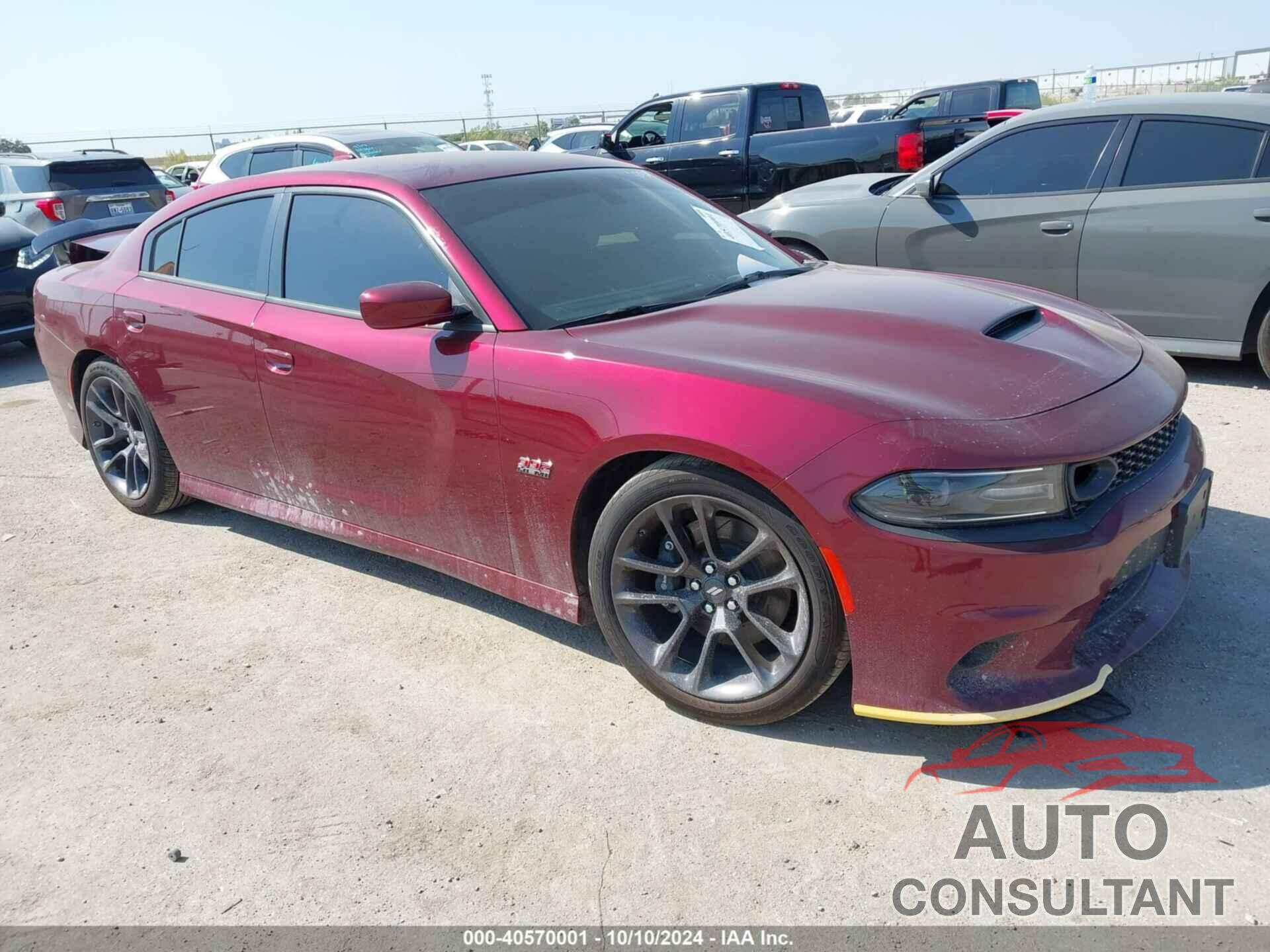 DODGE CHARGER 2020 - 2C3CDXGJ3LH157745
