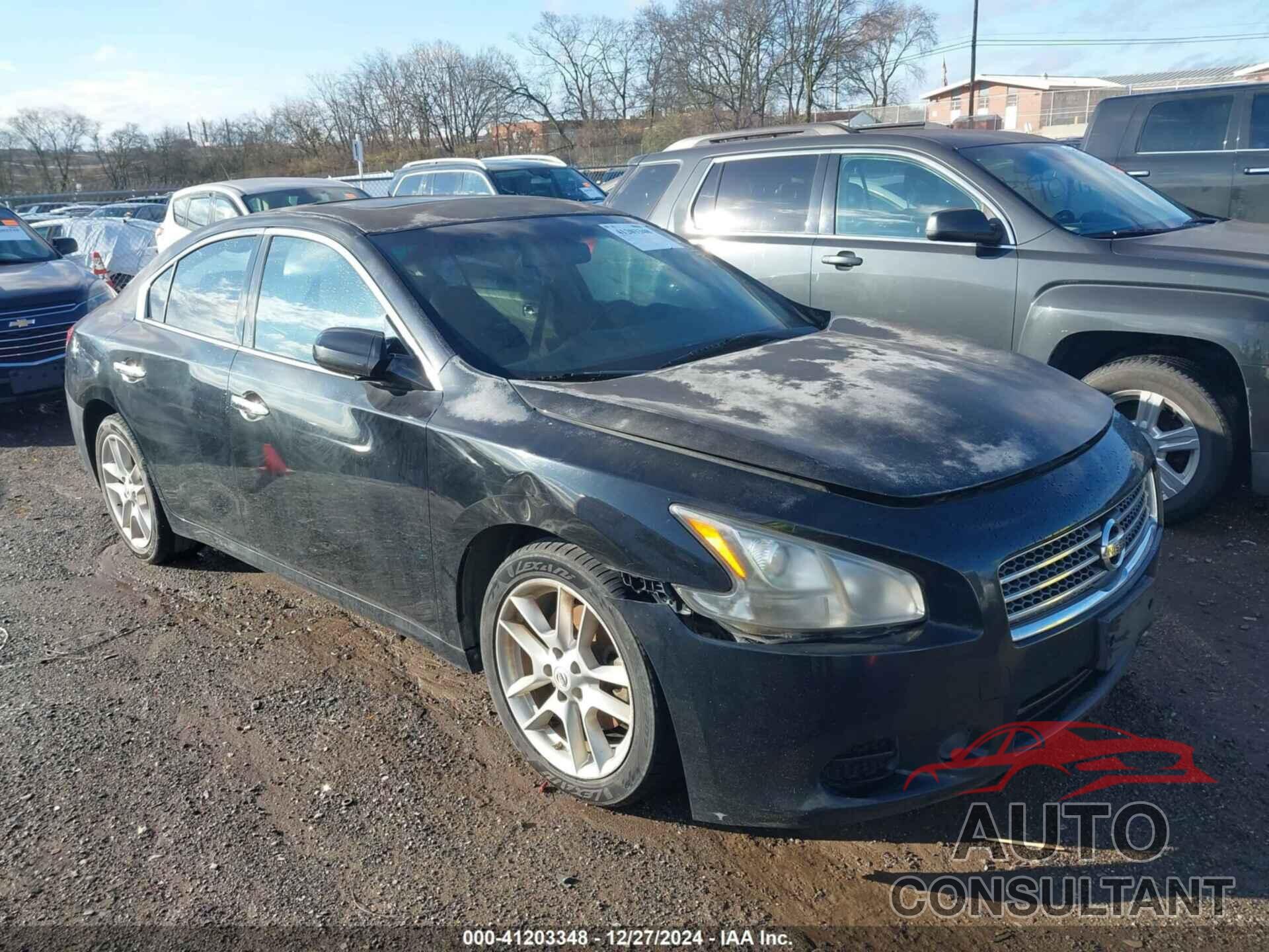 NISSAN MAXIMA 2011 - 1N4AA5AP7BC811229