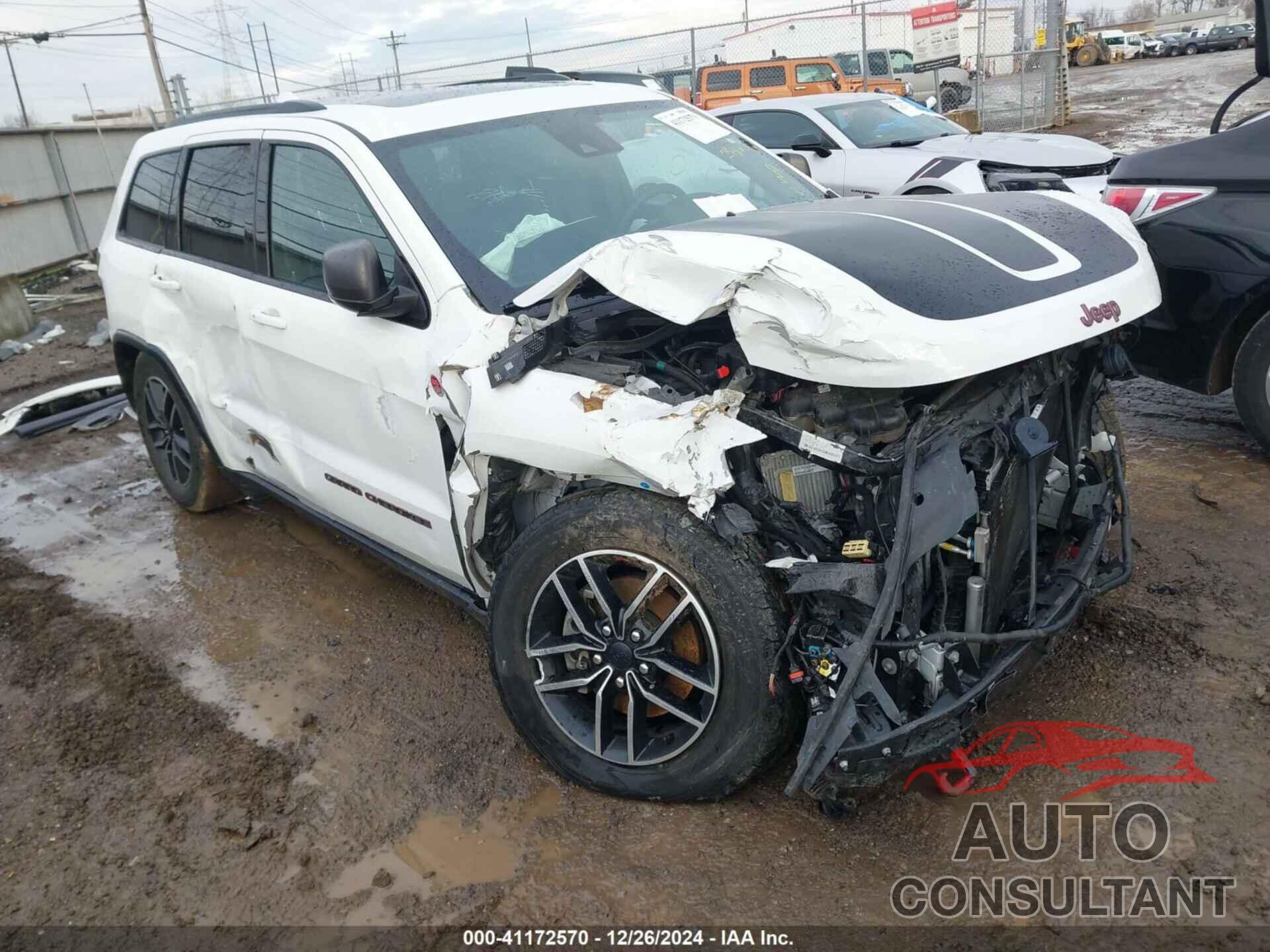 JEEP GRAND CHEROKEE 2019 - 1C4RJFLG5KC608095