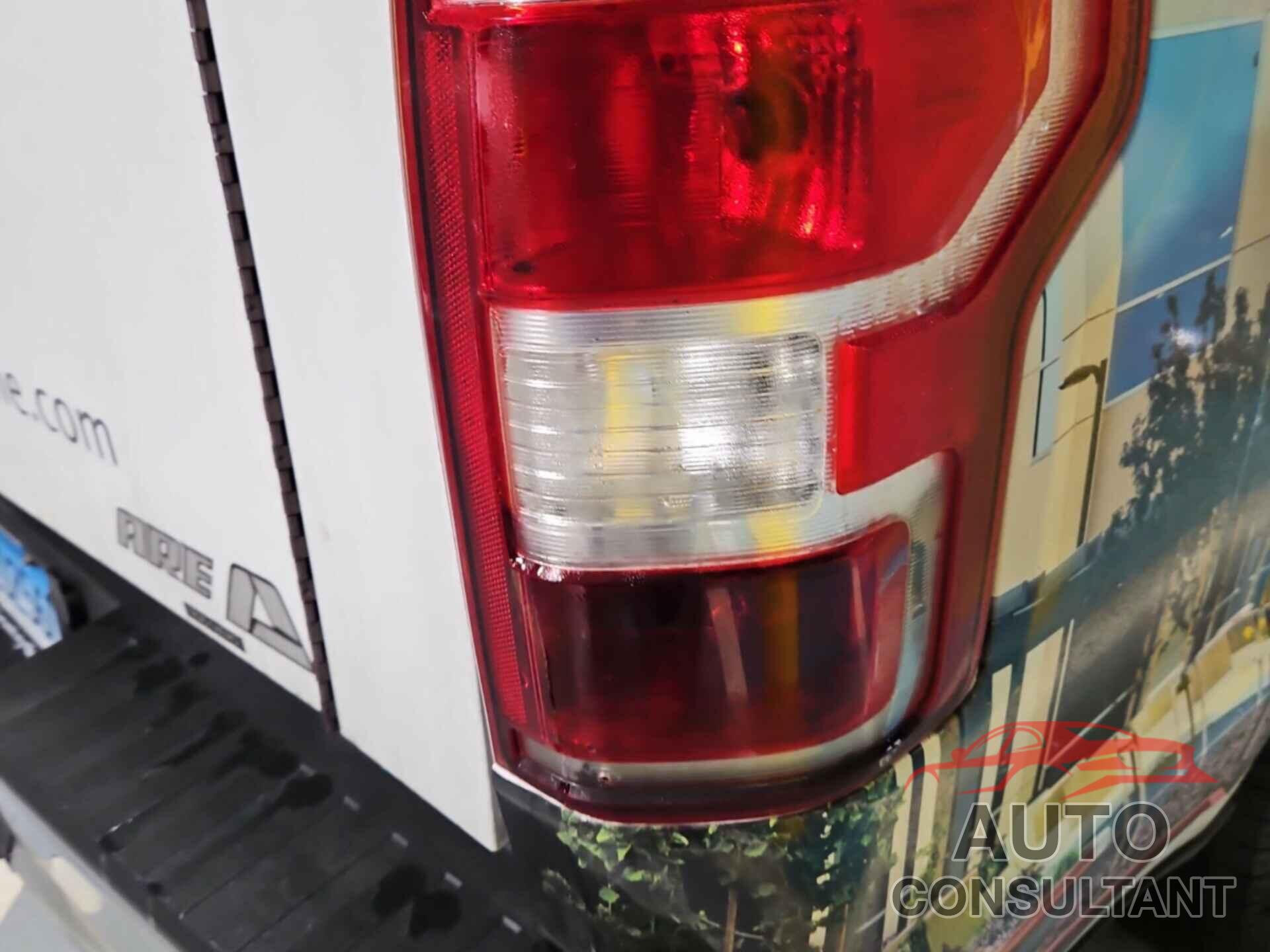 FORD F150 2019 - 1FTFX1E49KKE41446