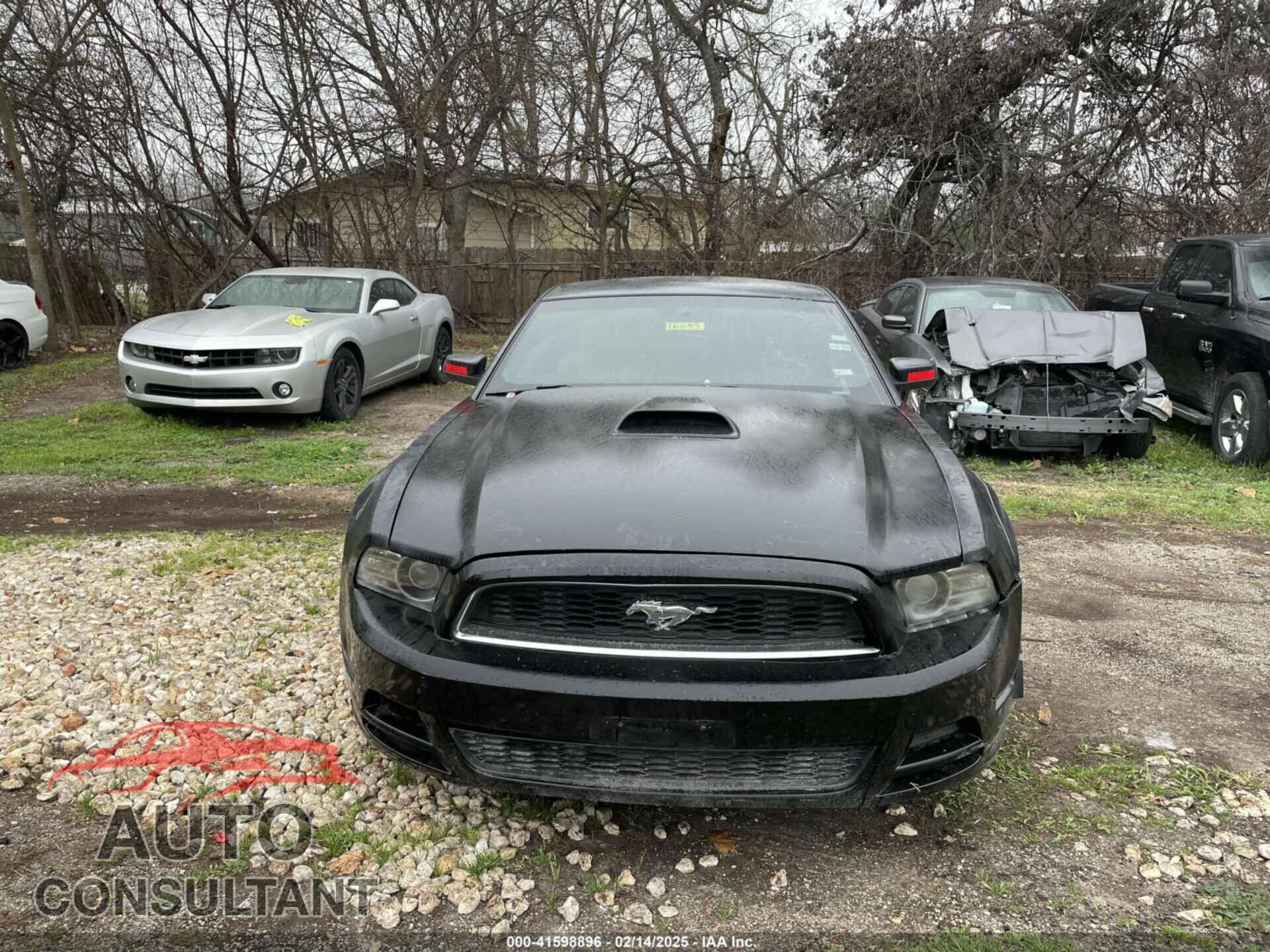 FORD MUSTANG 2014 - 1ZVBP8AM4E5268562