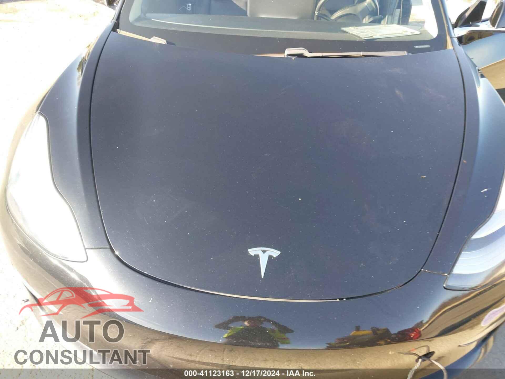 TESLA MODEL 3 2019 - 5YJ3E1EB8KF208842