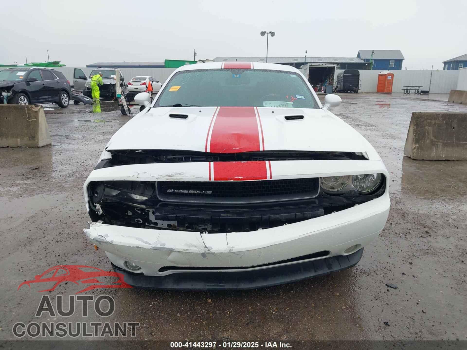 DODGE CHALLENGER 2012 - 2C3CDYAG2CH294873
