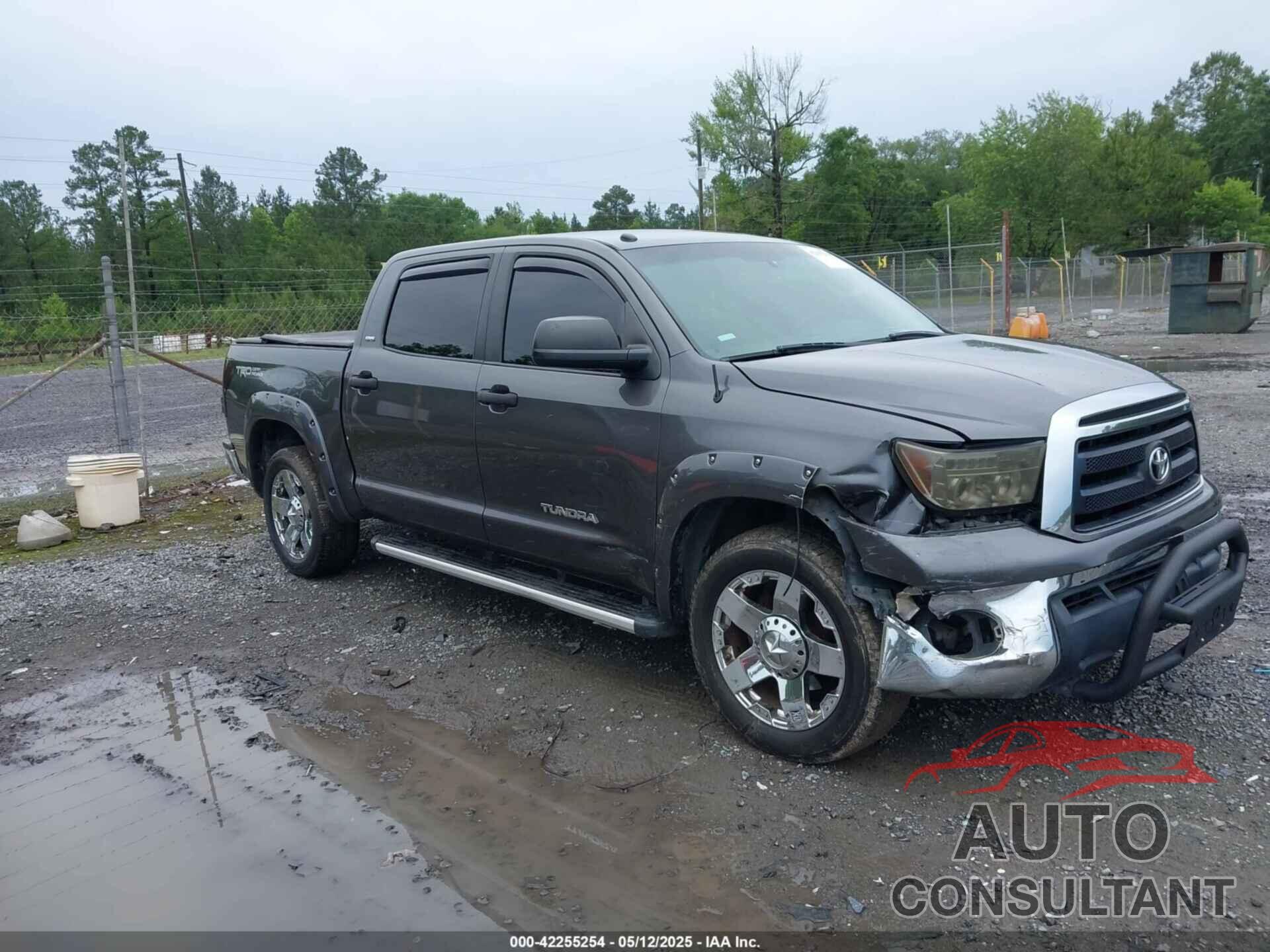TOYOTA TUNDRA 2011 - 5TFEM5F10BX030861