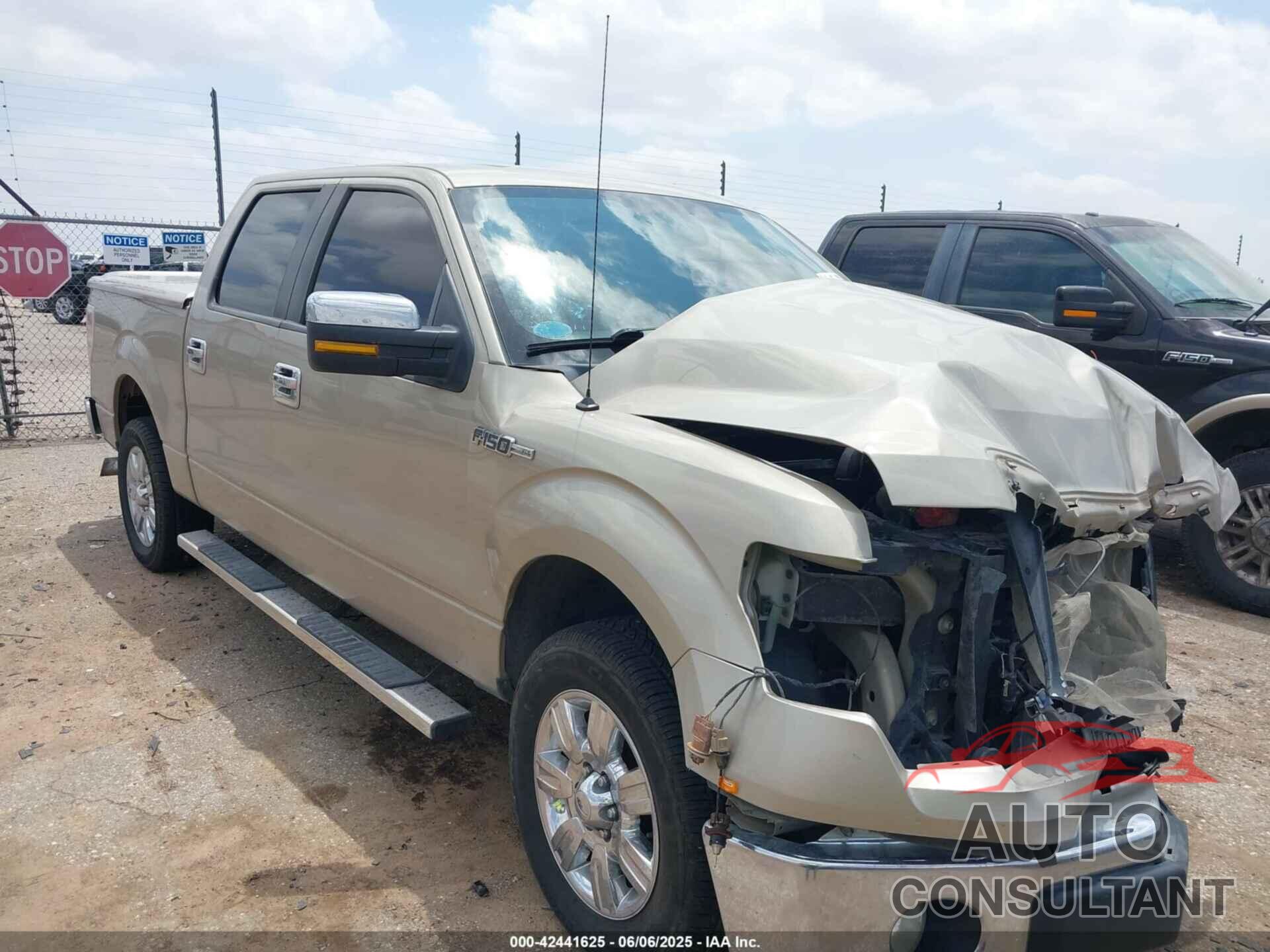 FORD F-150 2010 - 1FTEW1C84AFA77965