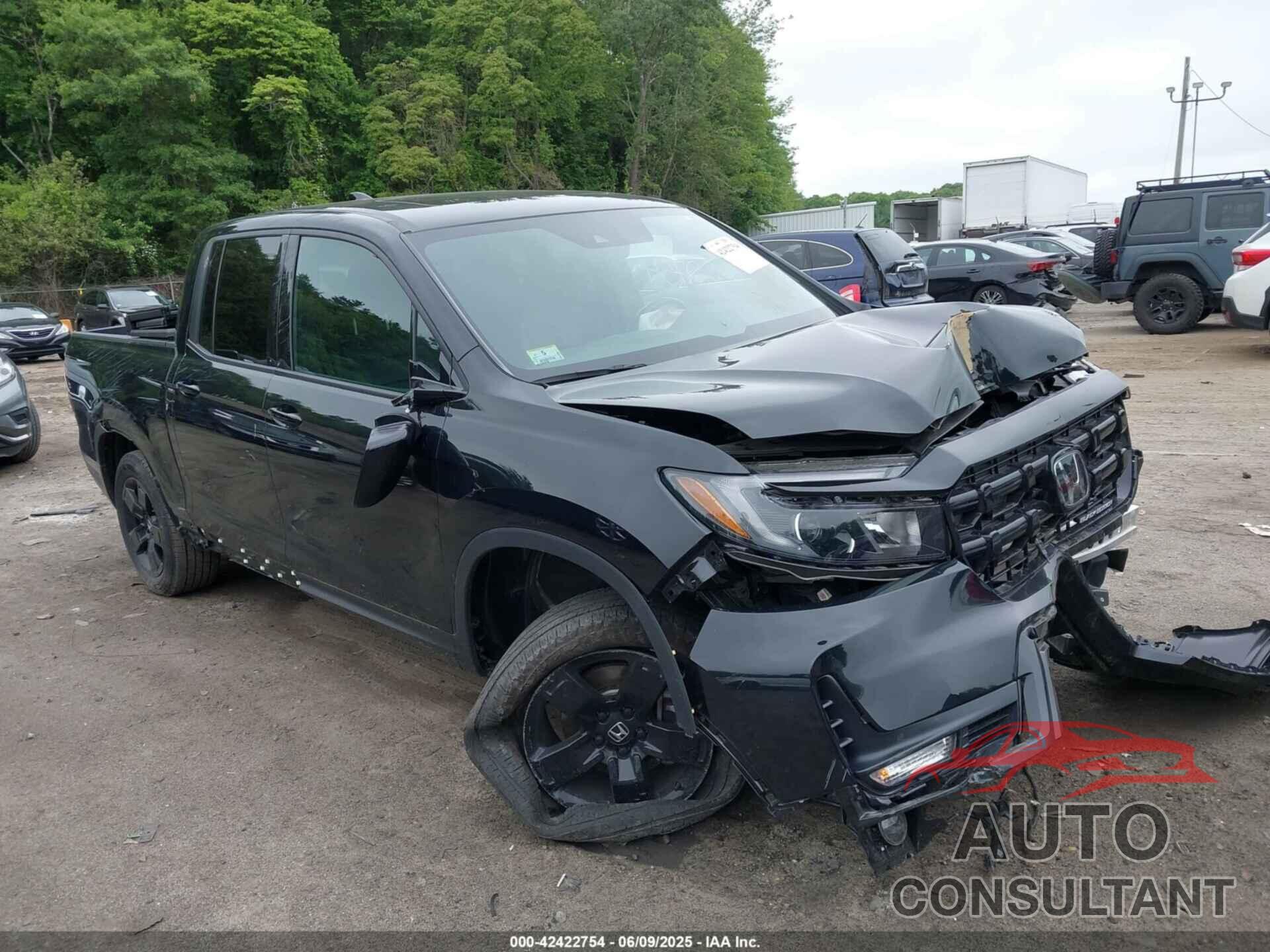 HONDA RIDGELINE 2024 - 5FPYK3F83RB012452
