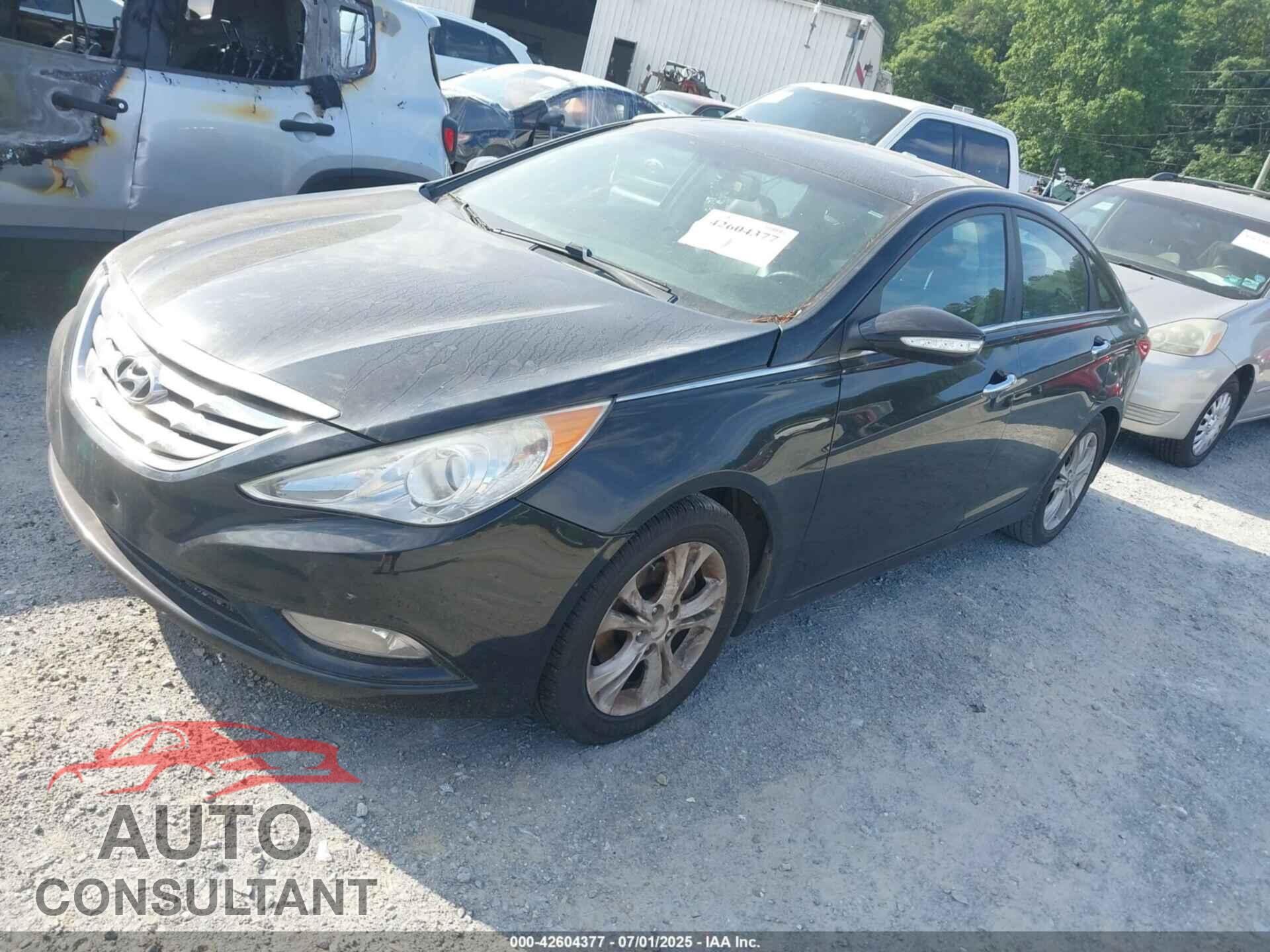HYUNDAI SONATA 2013 - 5NPEC4AC5DH567326