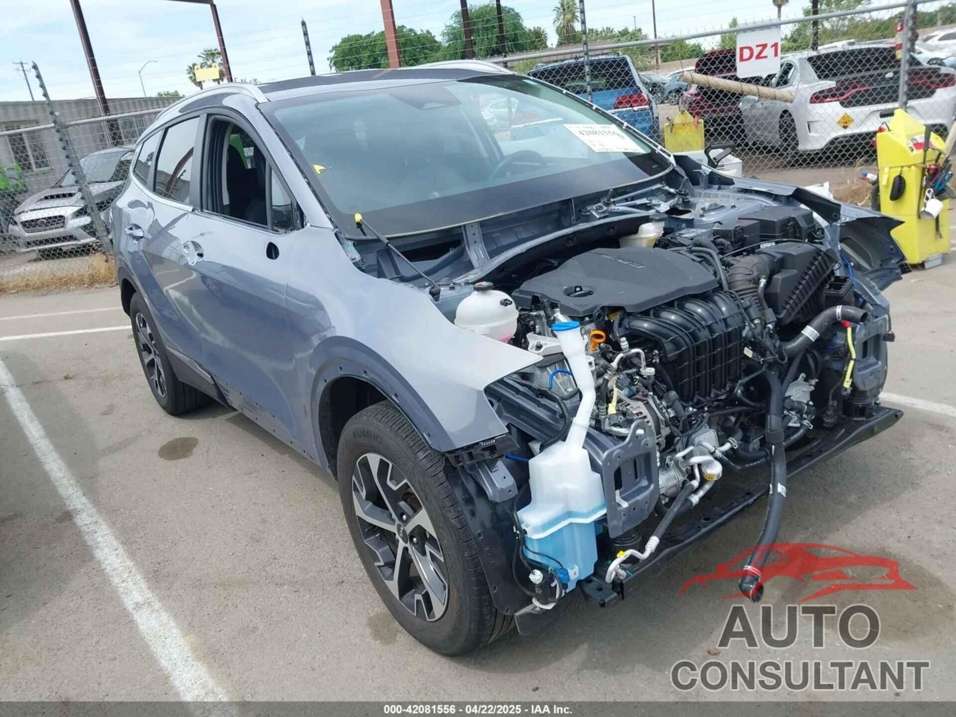 KIA SPORTAGE 2024 - 5XYK3CDF3RG183546