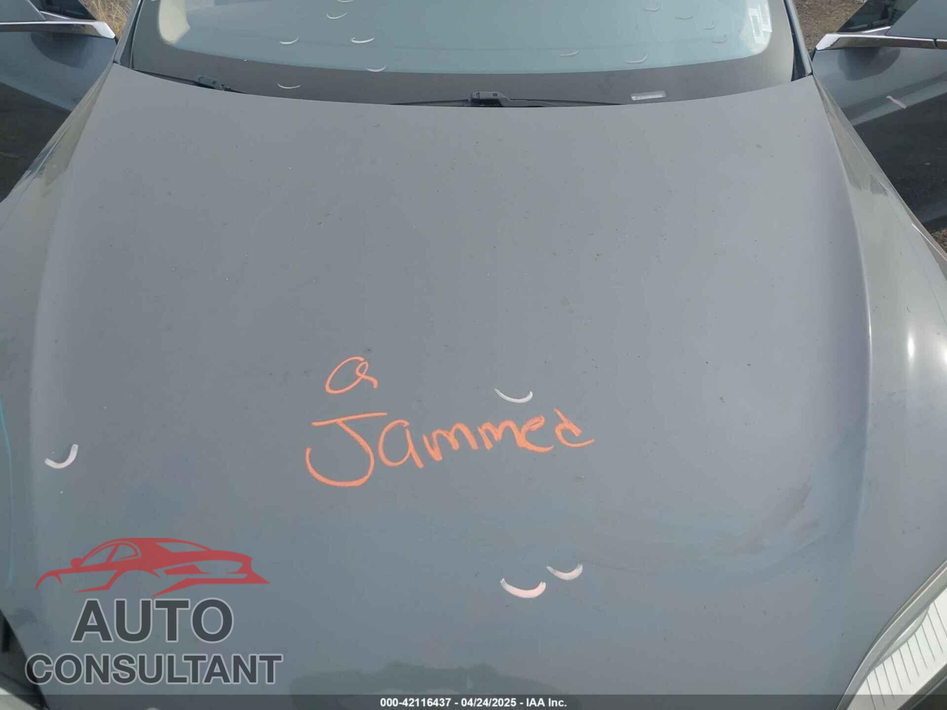 TESLA MODEL S 2013 - 5YJSA1AG5DFP13149