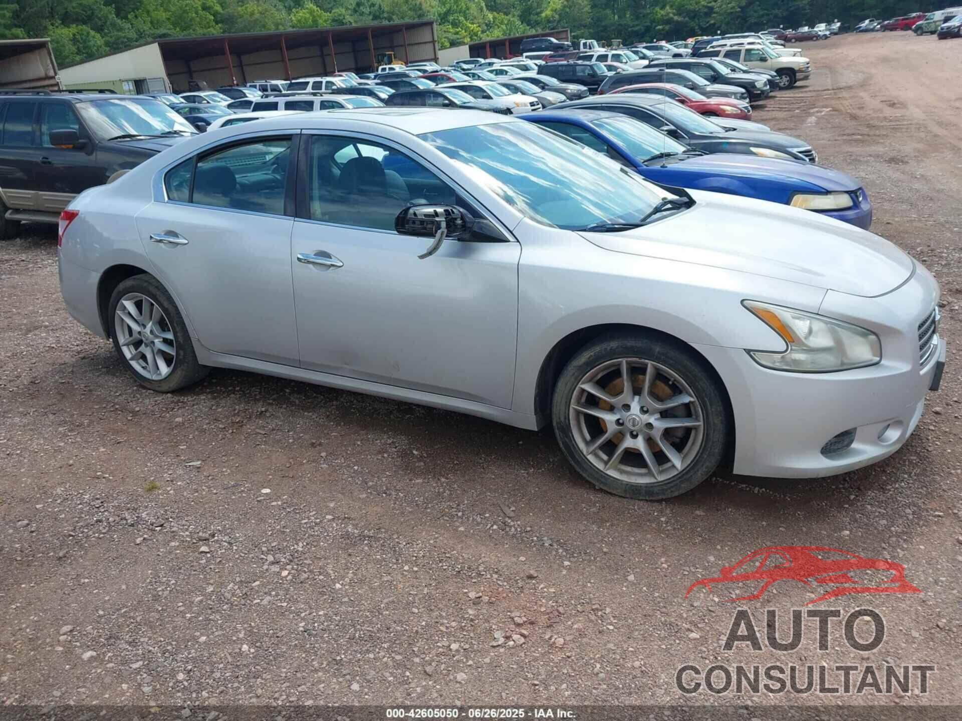 NISSAN MAXIMA 2011 - 1N4AA5AP9BC802869