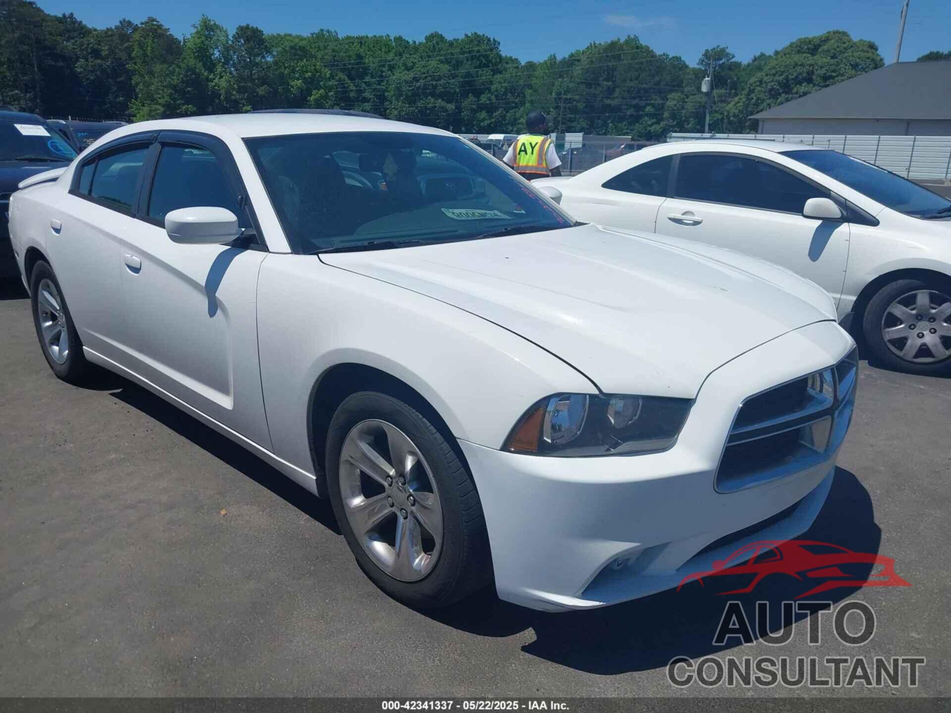 DODGE CHARGER 2013 - 2C3CDXBGXDH702059