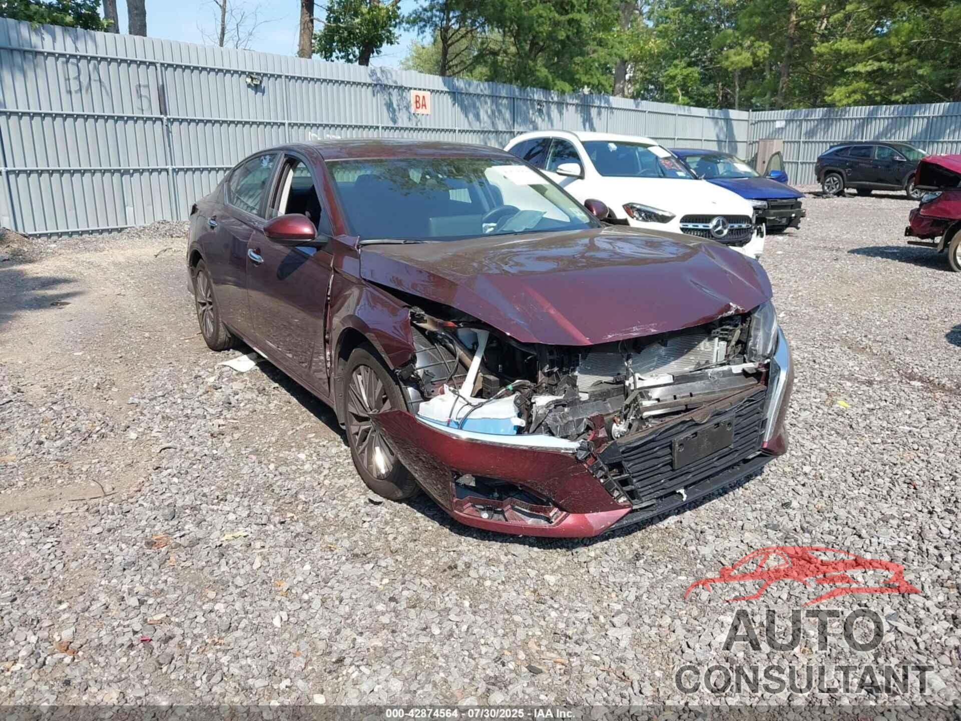 NISSAN ALTIMA 2023 - 1N4BL4DV5PN423799