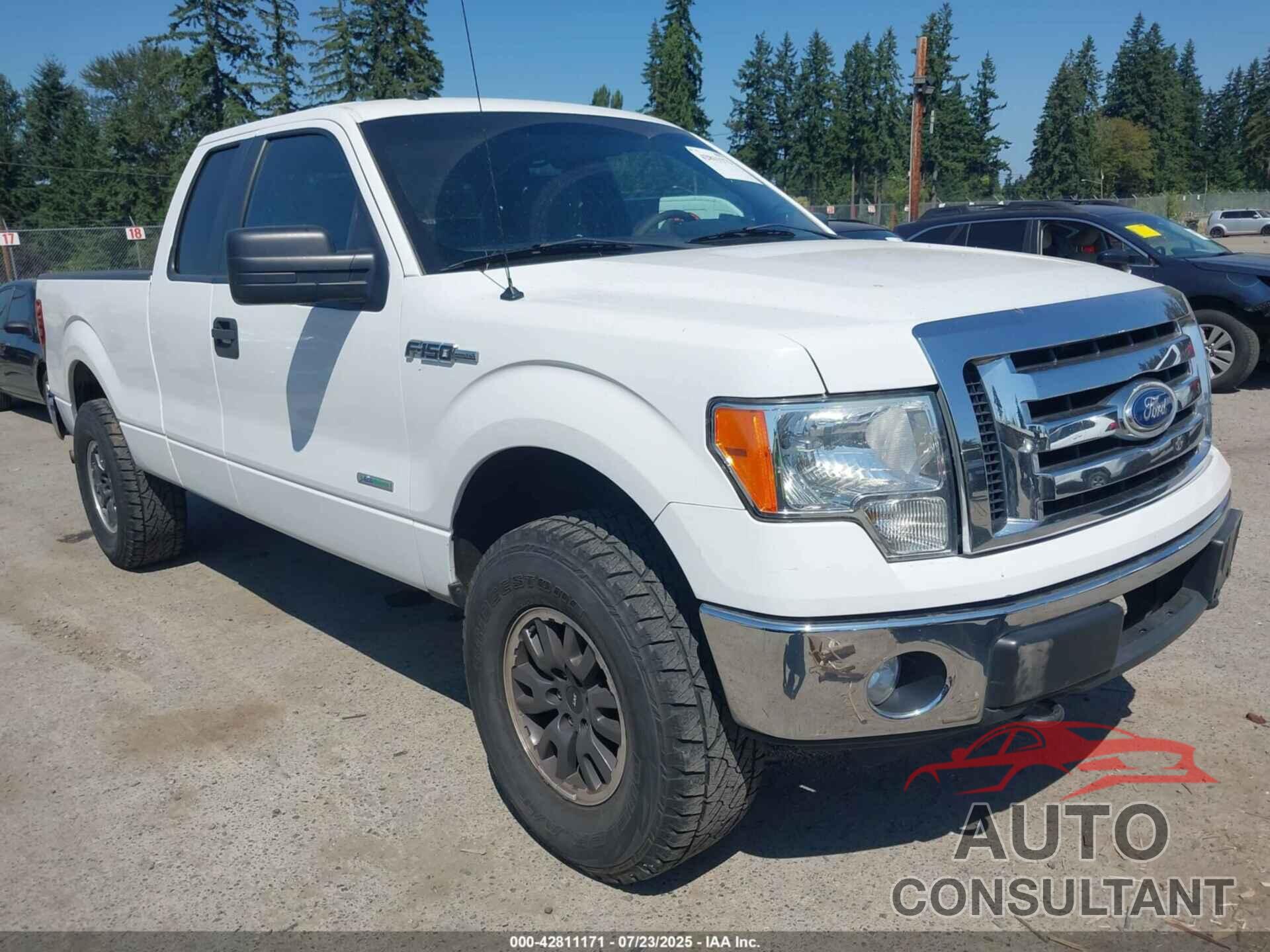 FORD F-150 2011 - 1FTFX1ET4BFC24161