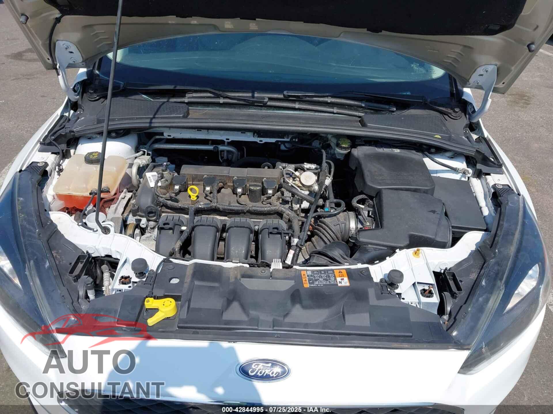 FORD FOCUS 2016 - 1FADP3F20GL329898