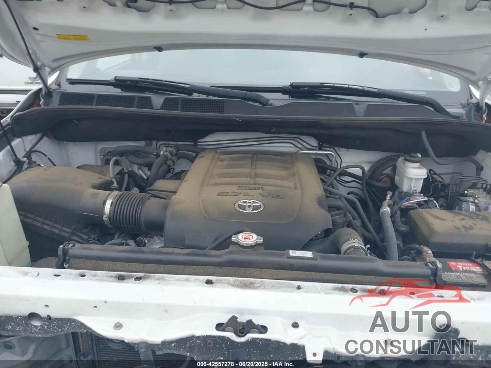 TOYOTA SEQUOIA 2019 - 5TDBY5G16KS170151