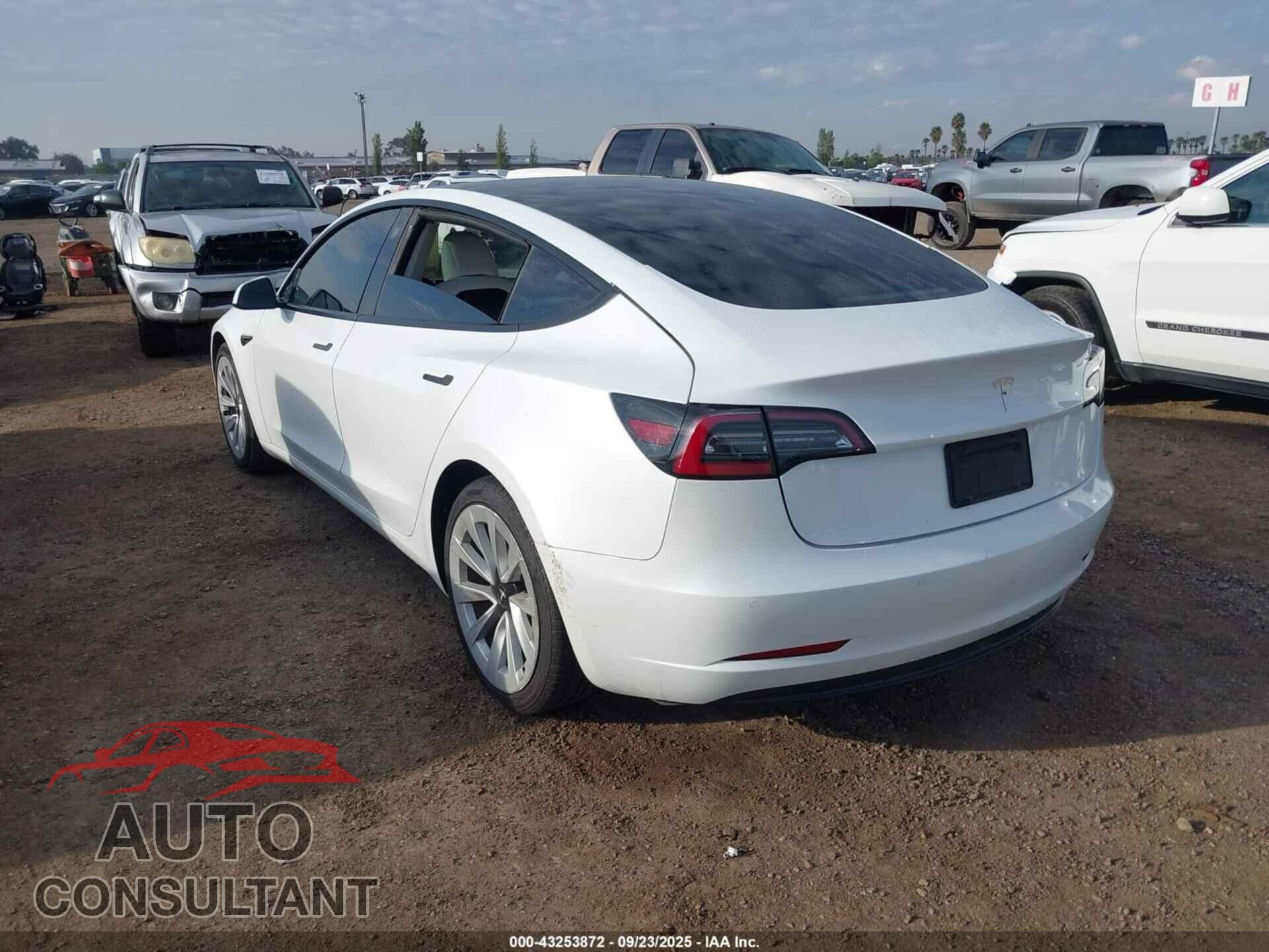 TESLA MODEL 3 2021 - 5YJ3E1EA7MF879252