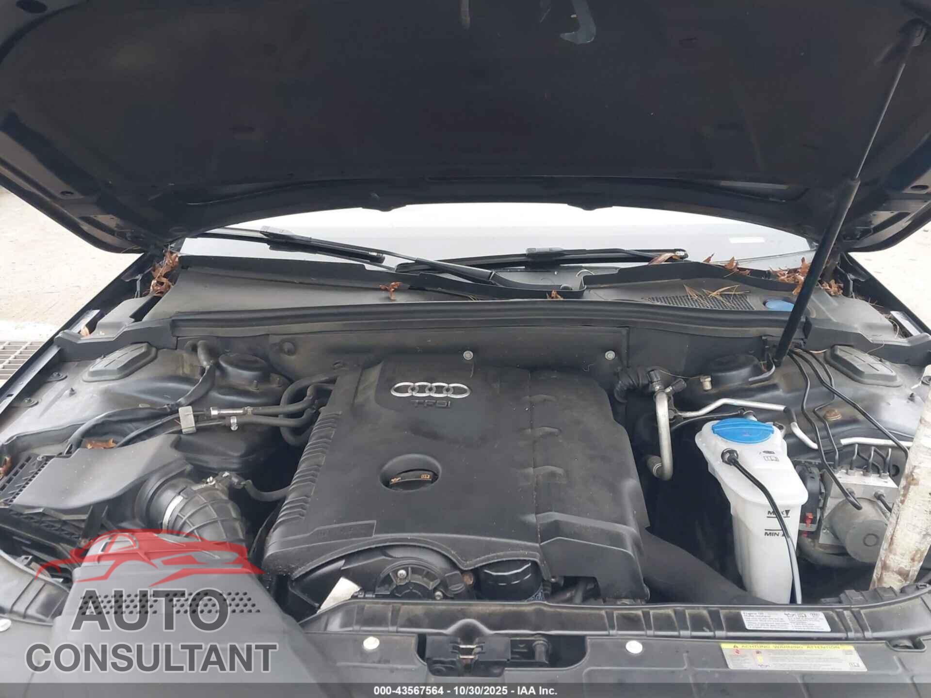 AUDI ALLROAD 2013 - WA19FAFL8DA170226