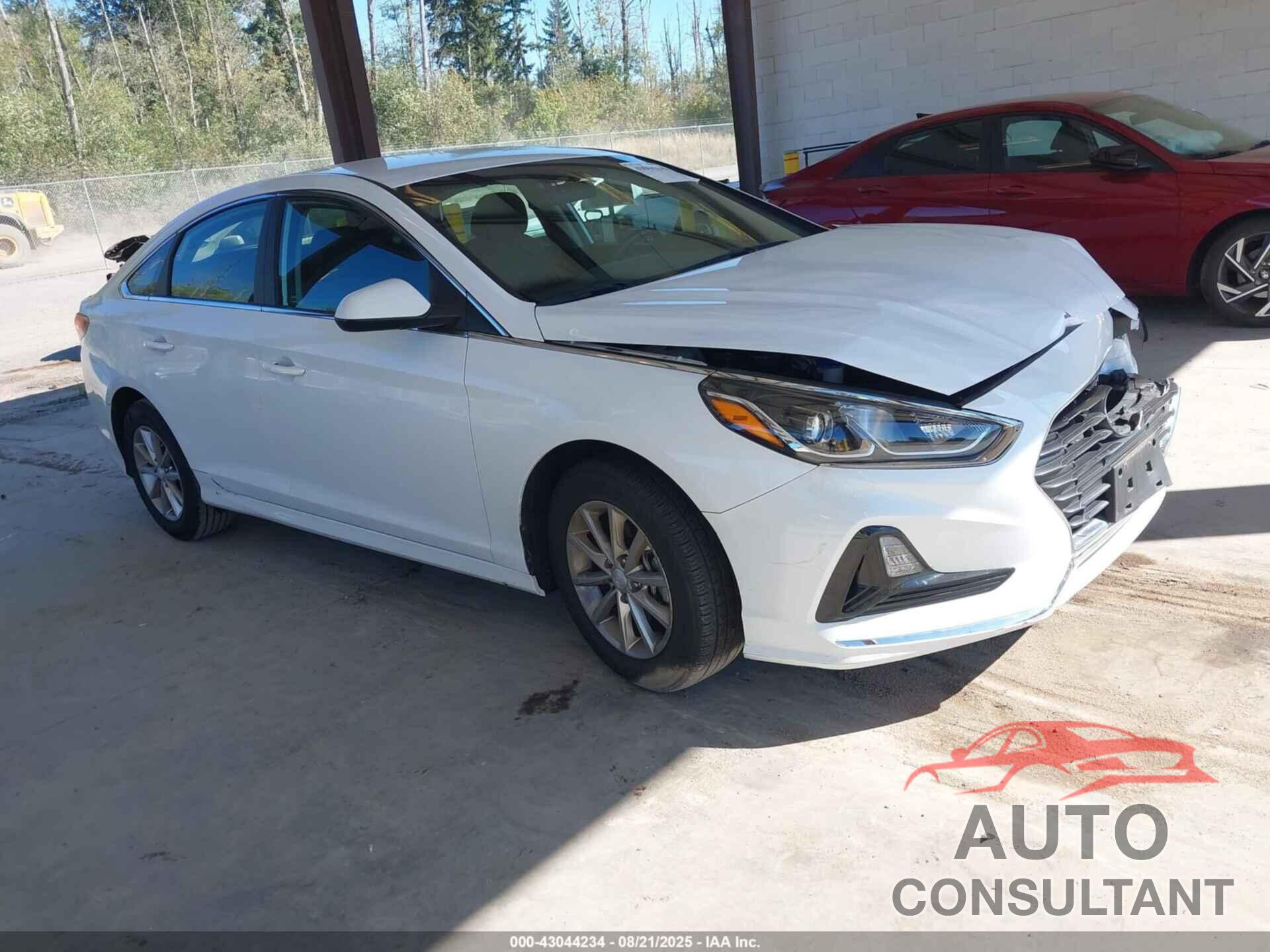 HYUNDAI SONATA 2019 - 5NPE24AF4KH765289