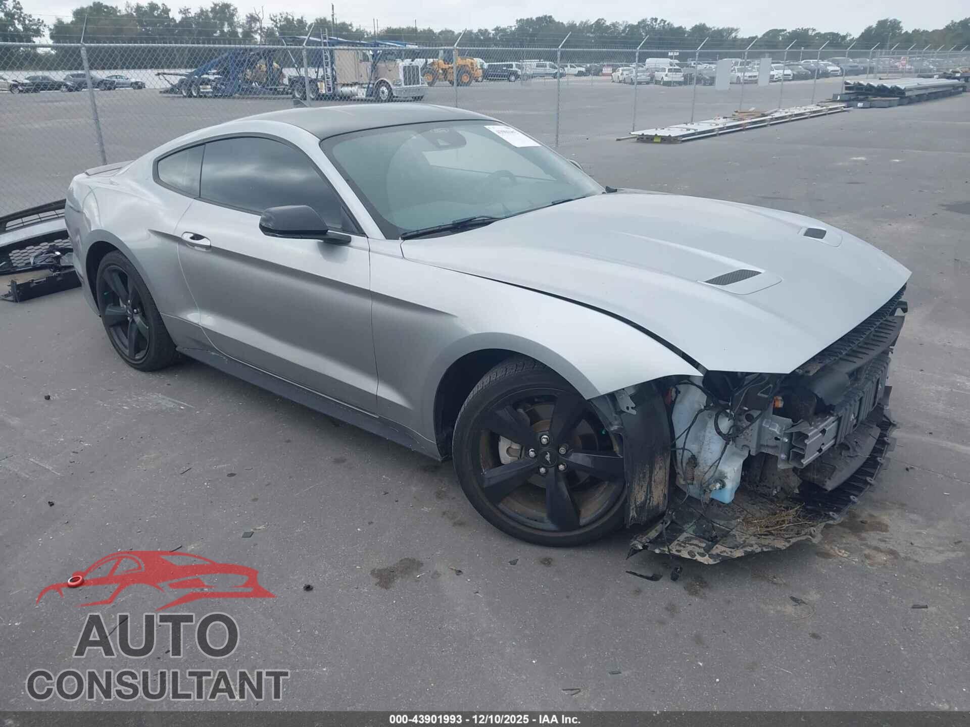 FORD MUSTANG 2022 - 1FA6P8TH9N5138688