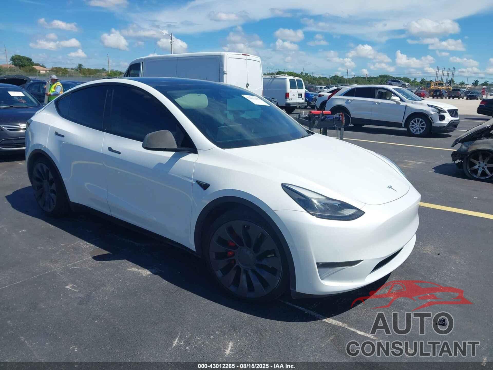 TESLA MODEL Y 2022 - 7SAYGDEFXNF462757