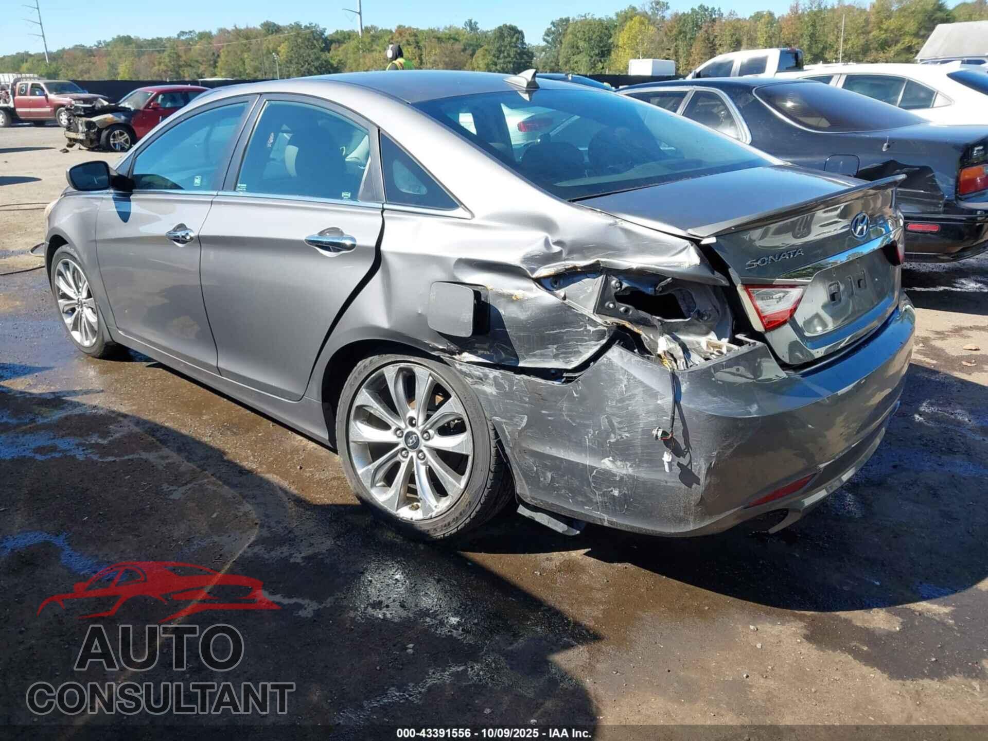 HYUNDAI SONATA 2013 - 5NPEC4AC4DH577250