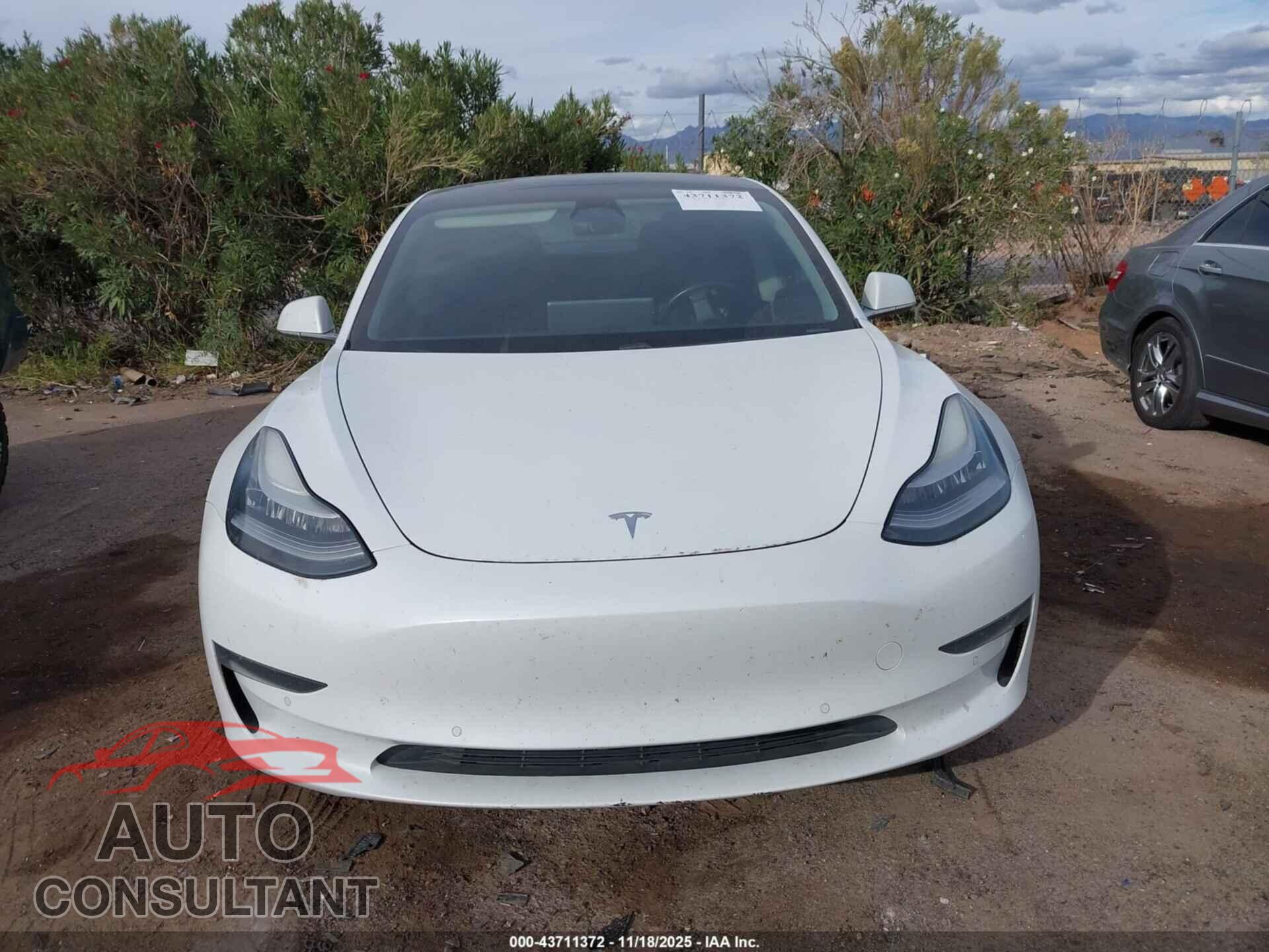TESLA MODEL 3 2019 - 5YJ3E1EB5KF390175