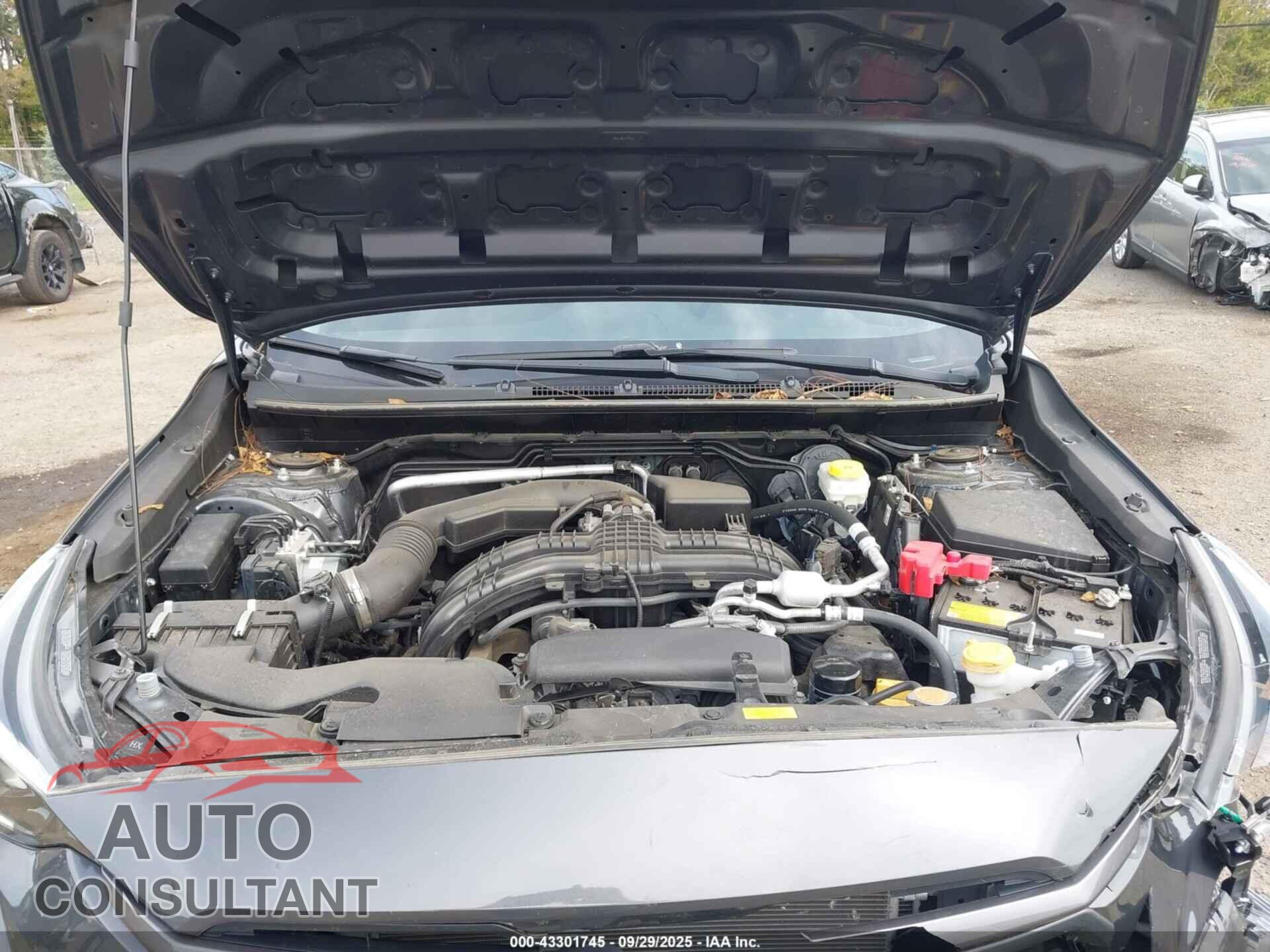 SUBARU CROSSTREK 2024 - JF2GUADC1RH395688