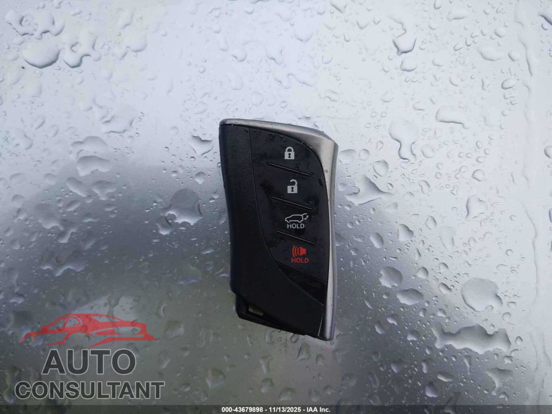 LEXUS RX 350 2024 - 2T2BAMCA9RC073206
