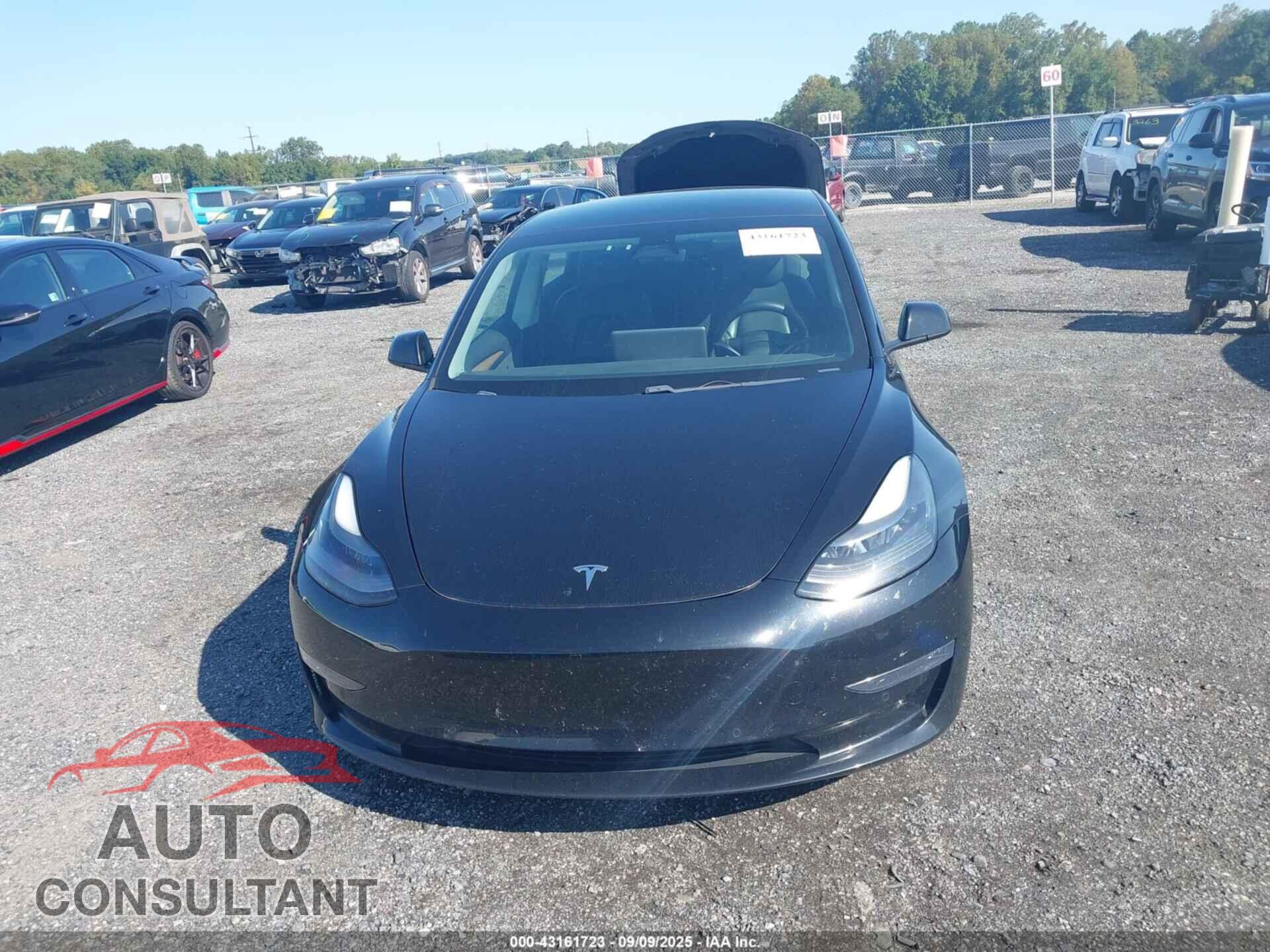 TESLA MODEL 3 2021 - 5YJ3E1EBXMF055867