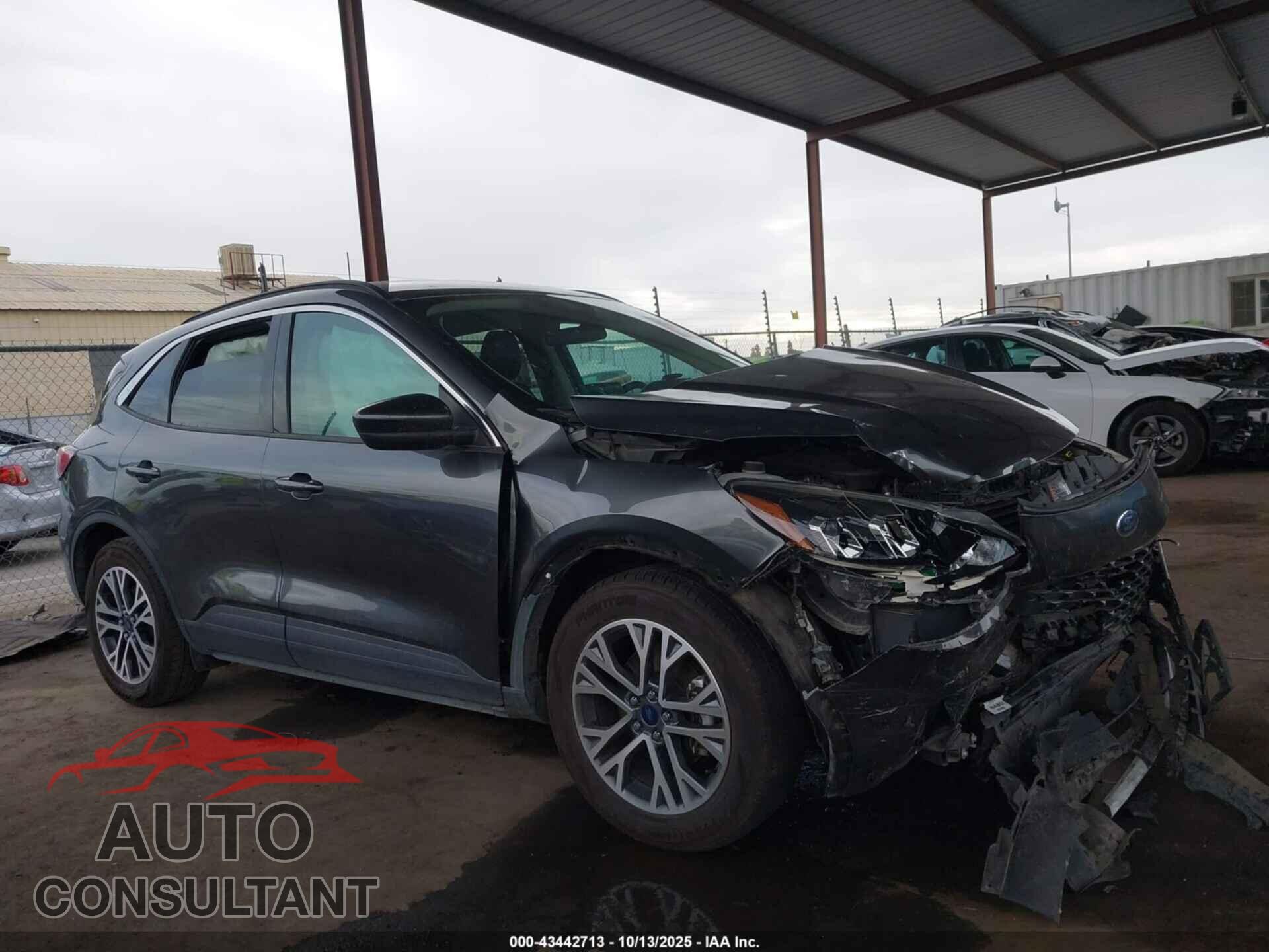 FORD ESCAPE 2020 - 1FMCU0H67LUA79542