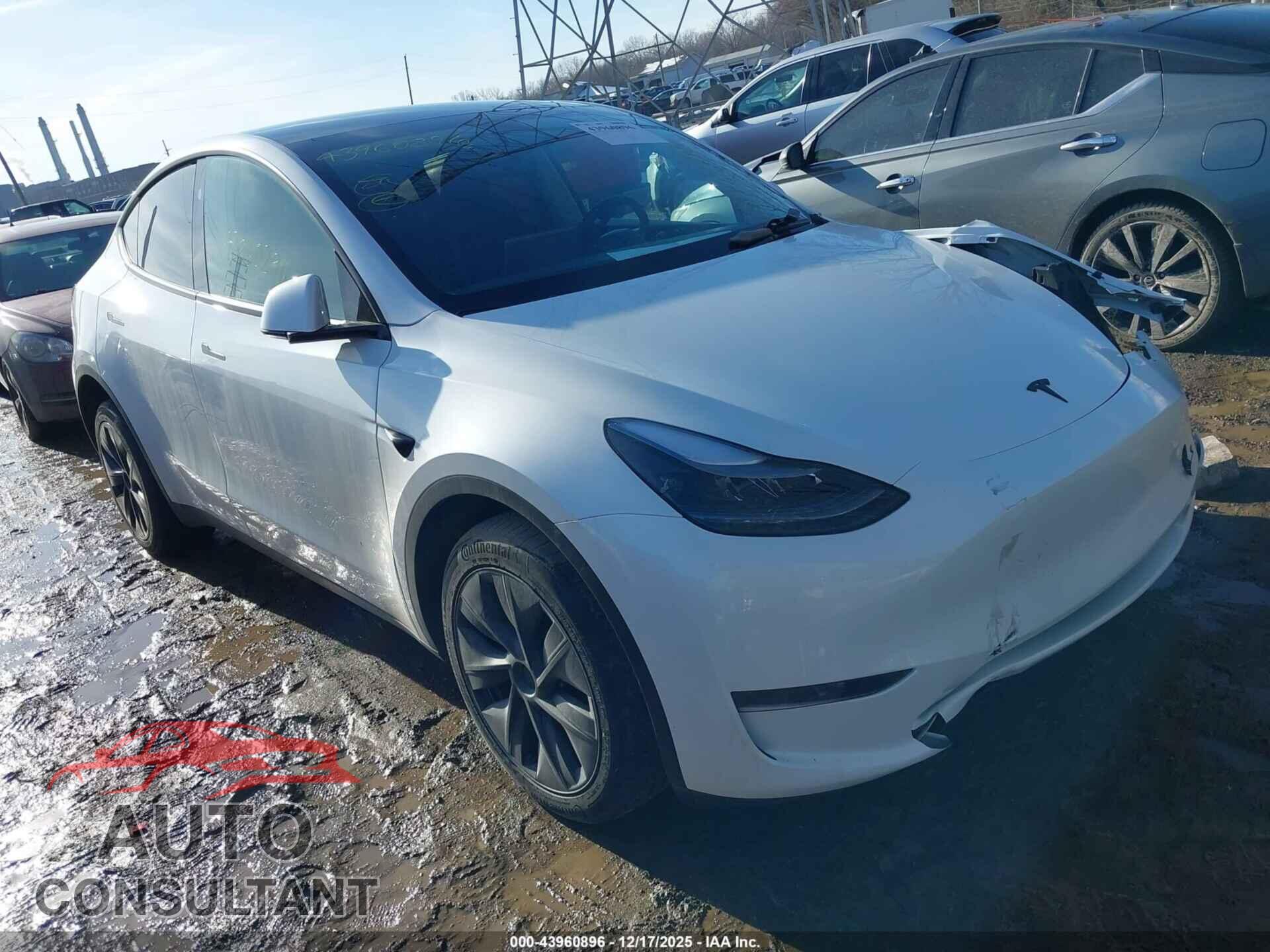 TESLA MODEL Y 2024 - 7SAYGDED6RF156319