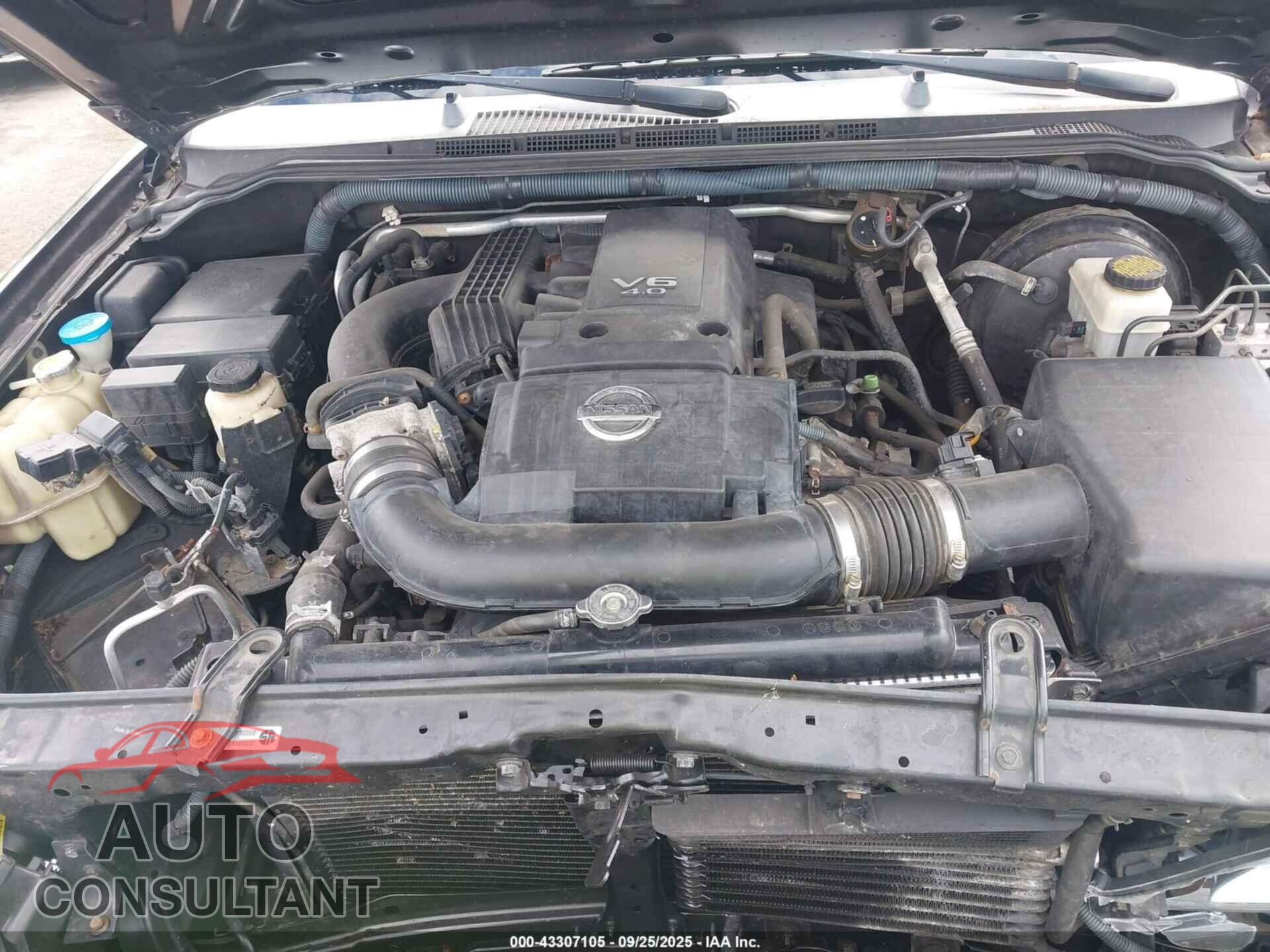 NISSAN PATHFINDER 2009 - 5N1AR18B49C617107
