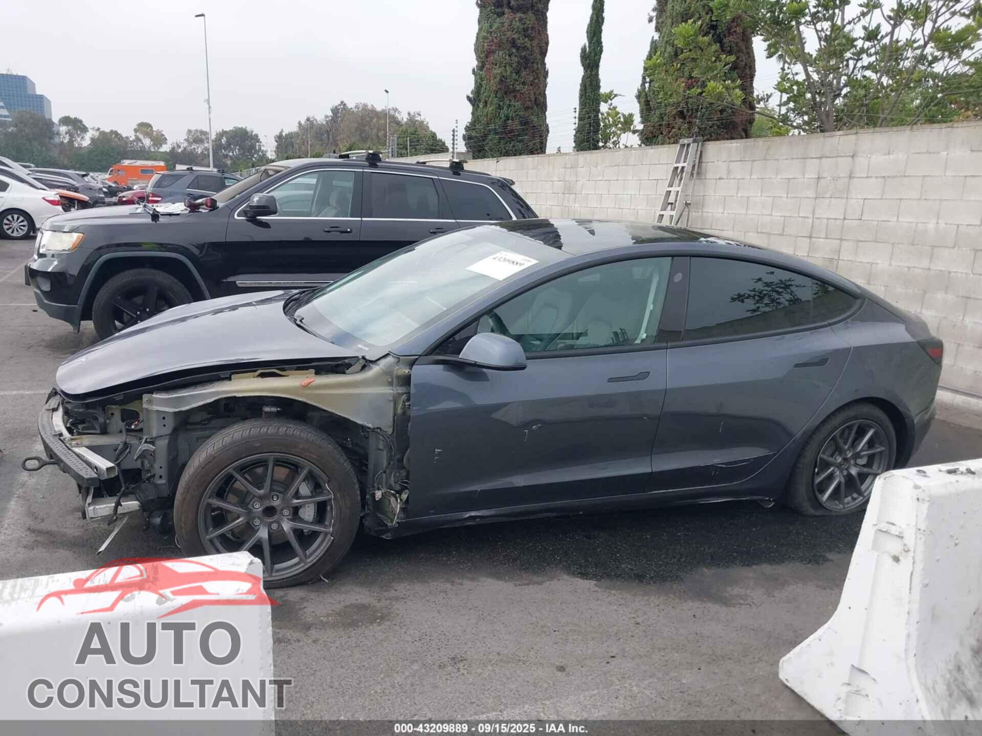 TESLA MODEL 3 2021 - 5YJ3E1EA4MF919335