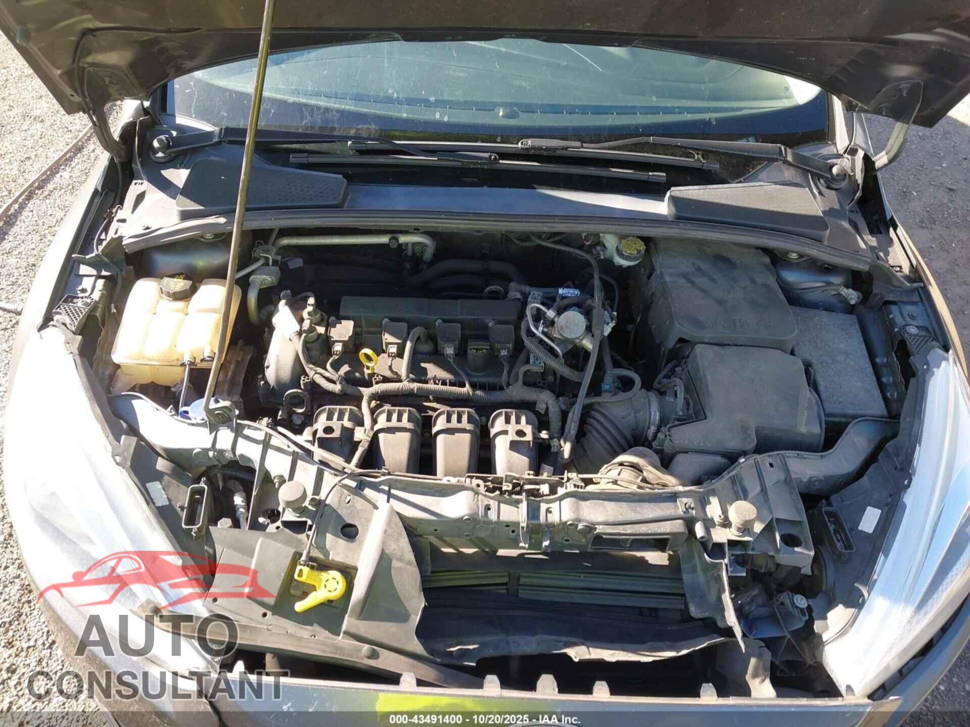 FORD FOCUS 2016 - 1FADP3E27GL380185