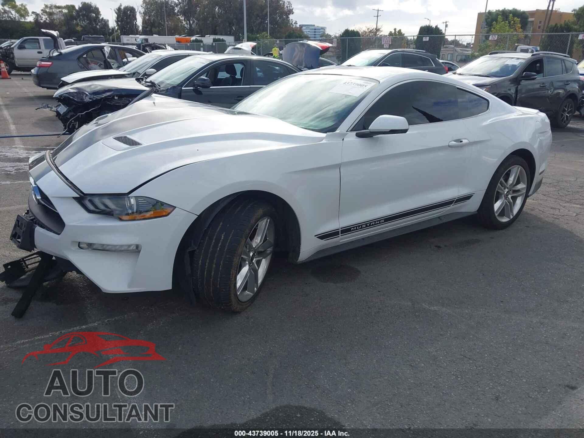 FORD MUSTANG 2019 - 1FA6P8TH2K5204378