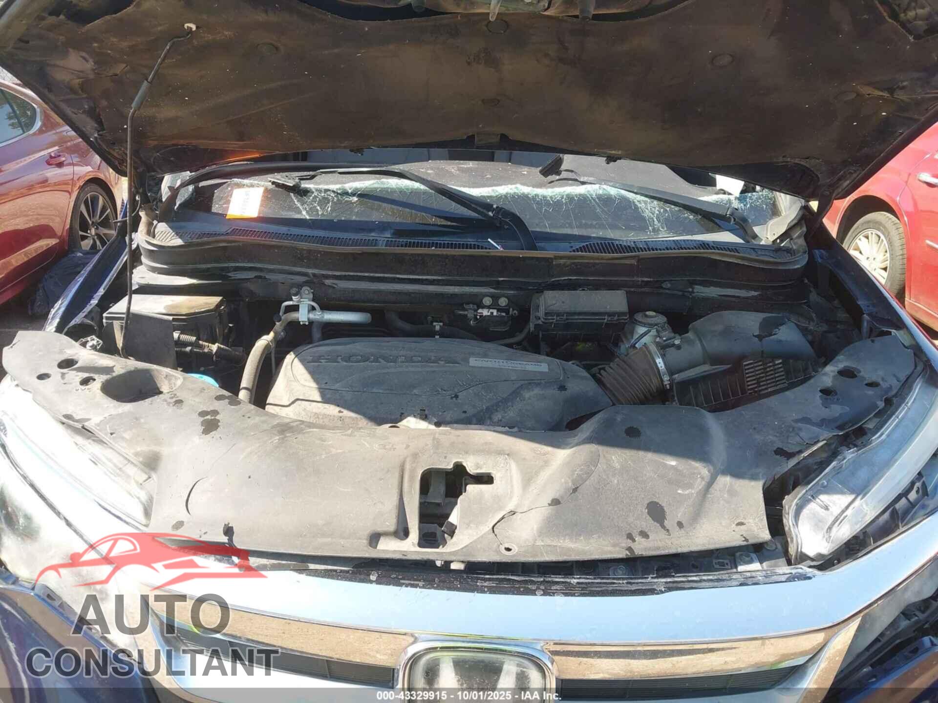 HONDA PILOT 2019 - 5FNYF6H10KB054792
