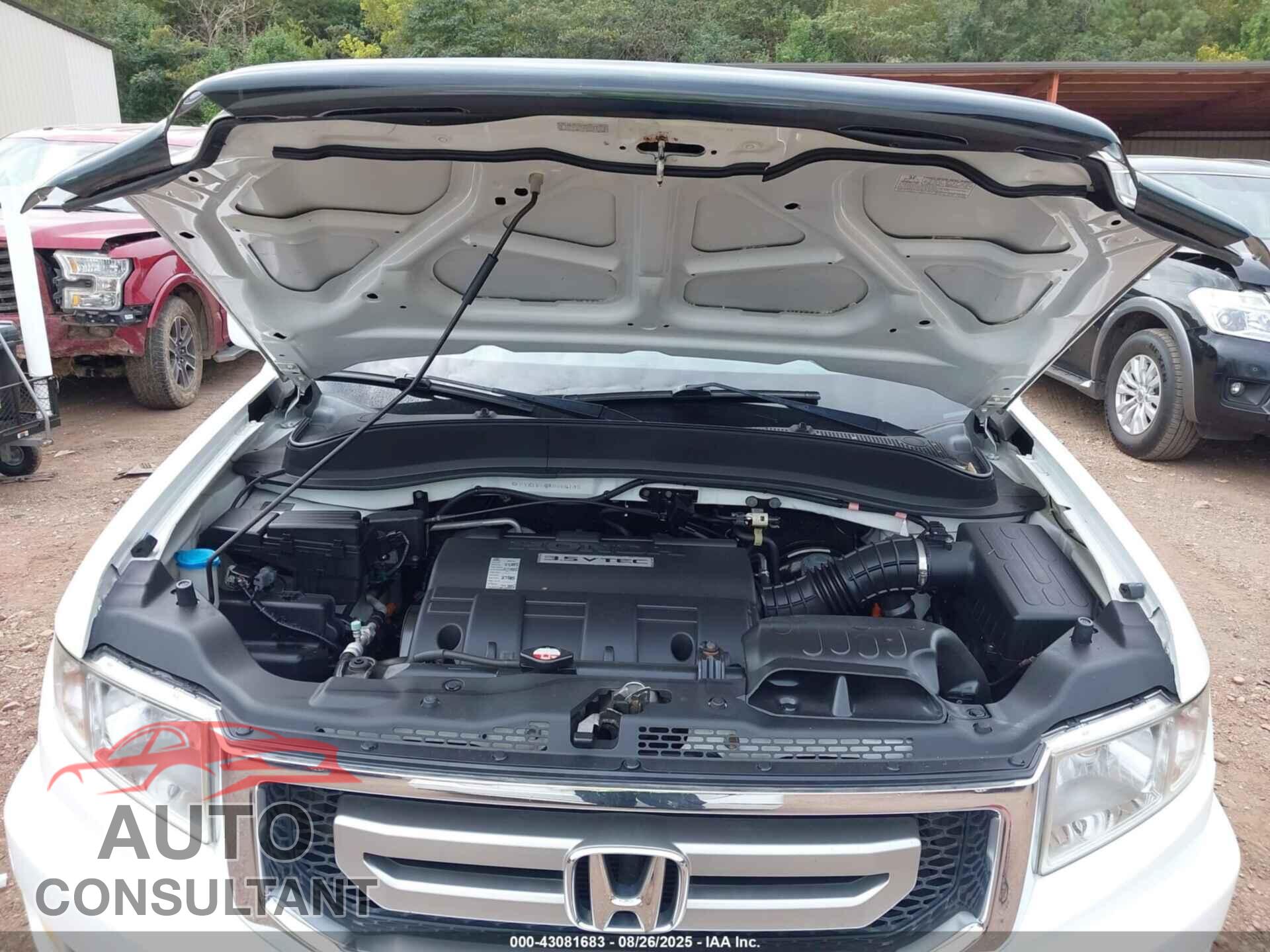 HONDA RIDGELINE 2010 - 5FPYK1F58AB006130