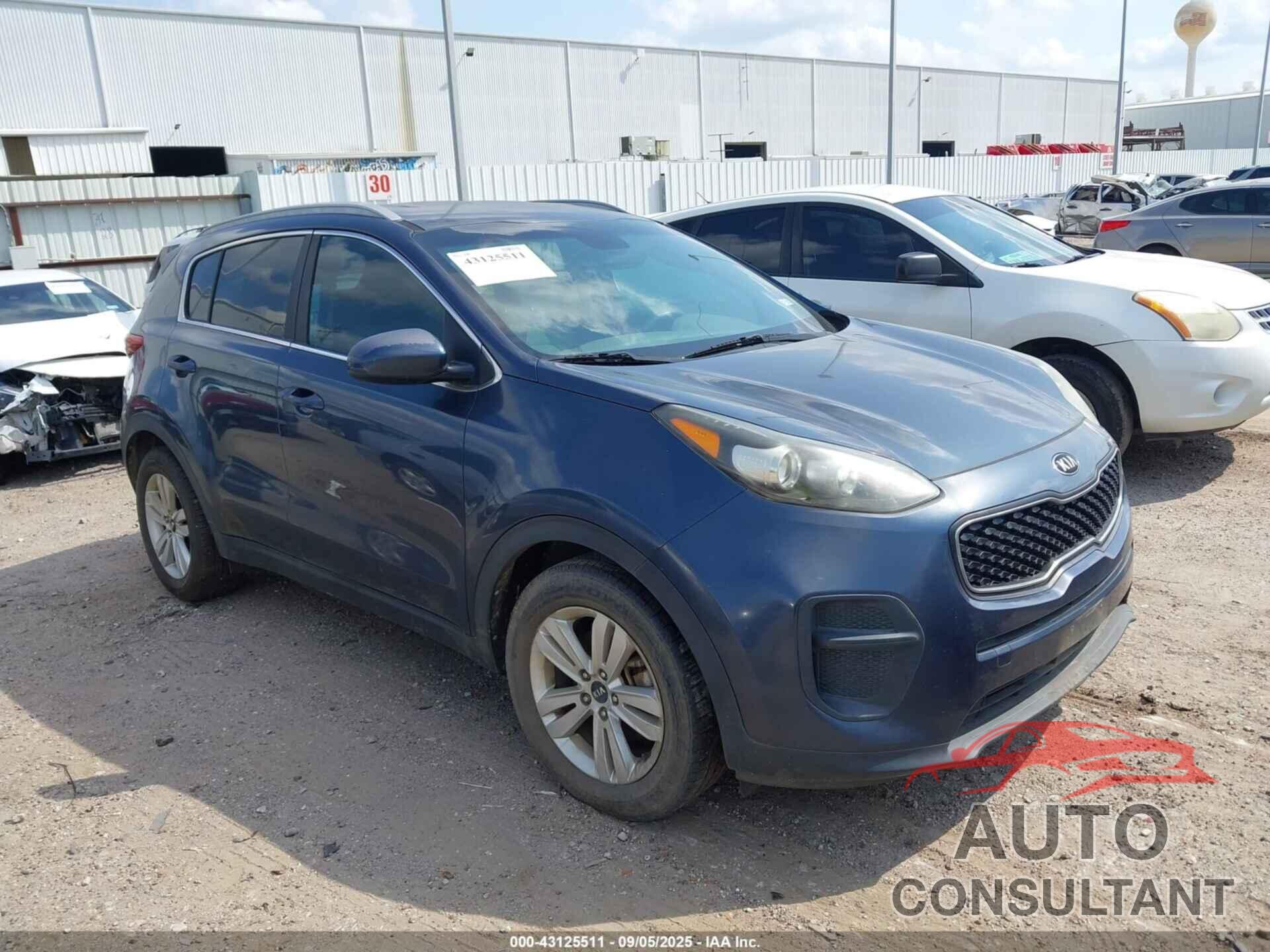 KIA SPORTAGE 2017 - KNDPM3AC6H7052488