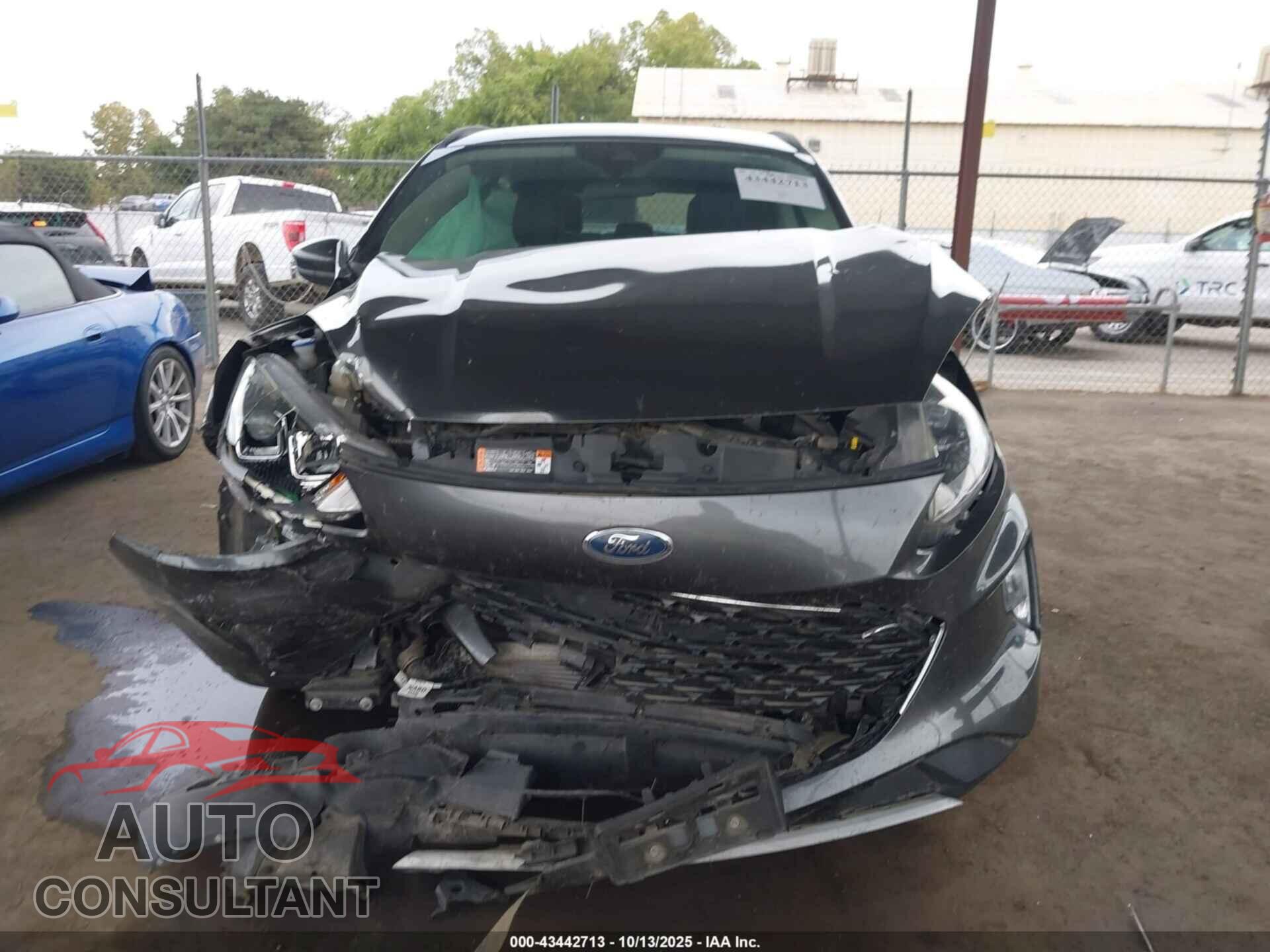 FORD ESCAPE 2020 - 1FMCU0H67LUA79542