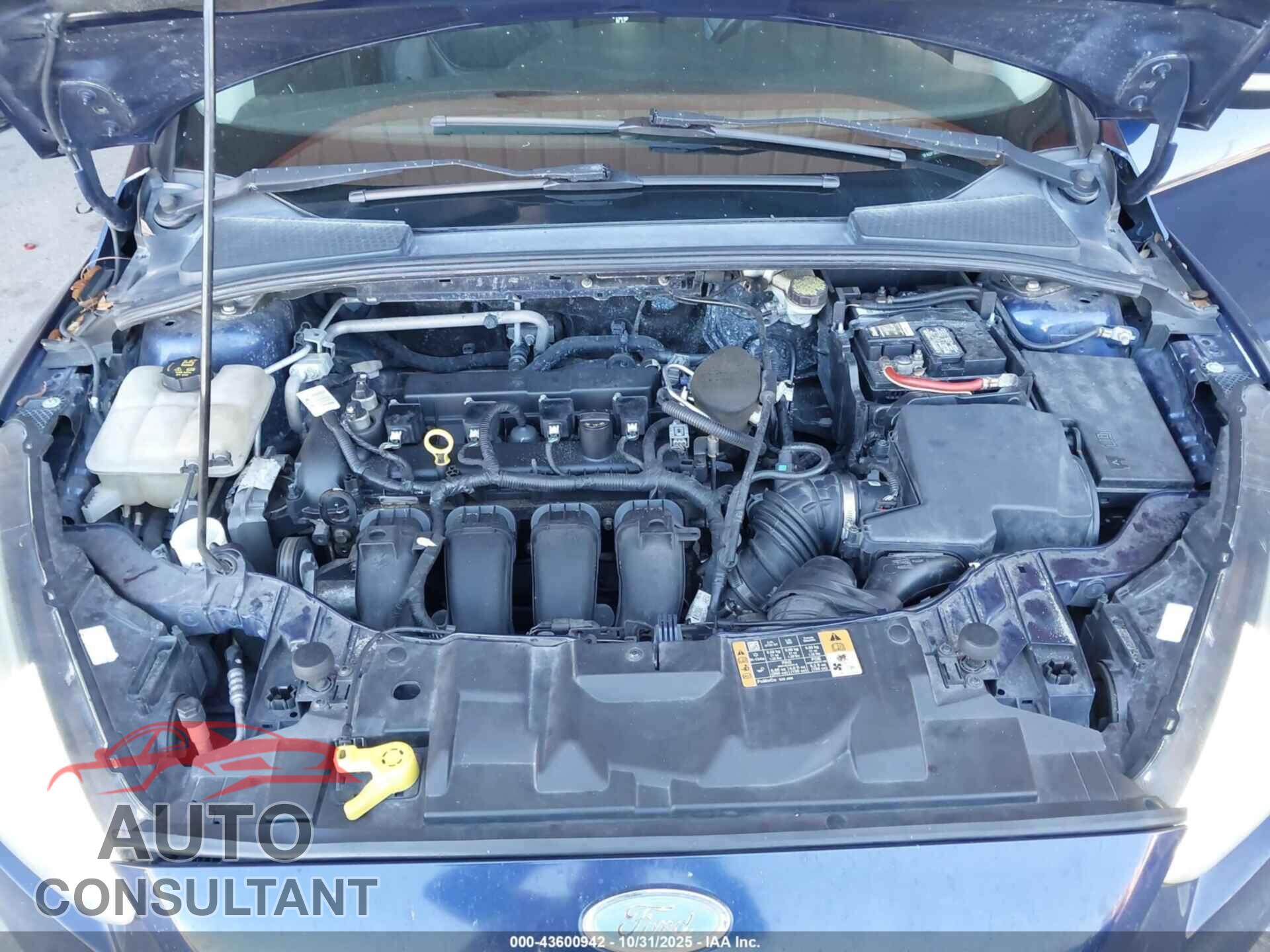 FORD FOCUS 2016 - 1FADP3K27GL236804